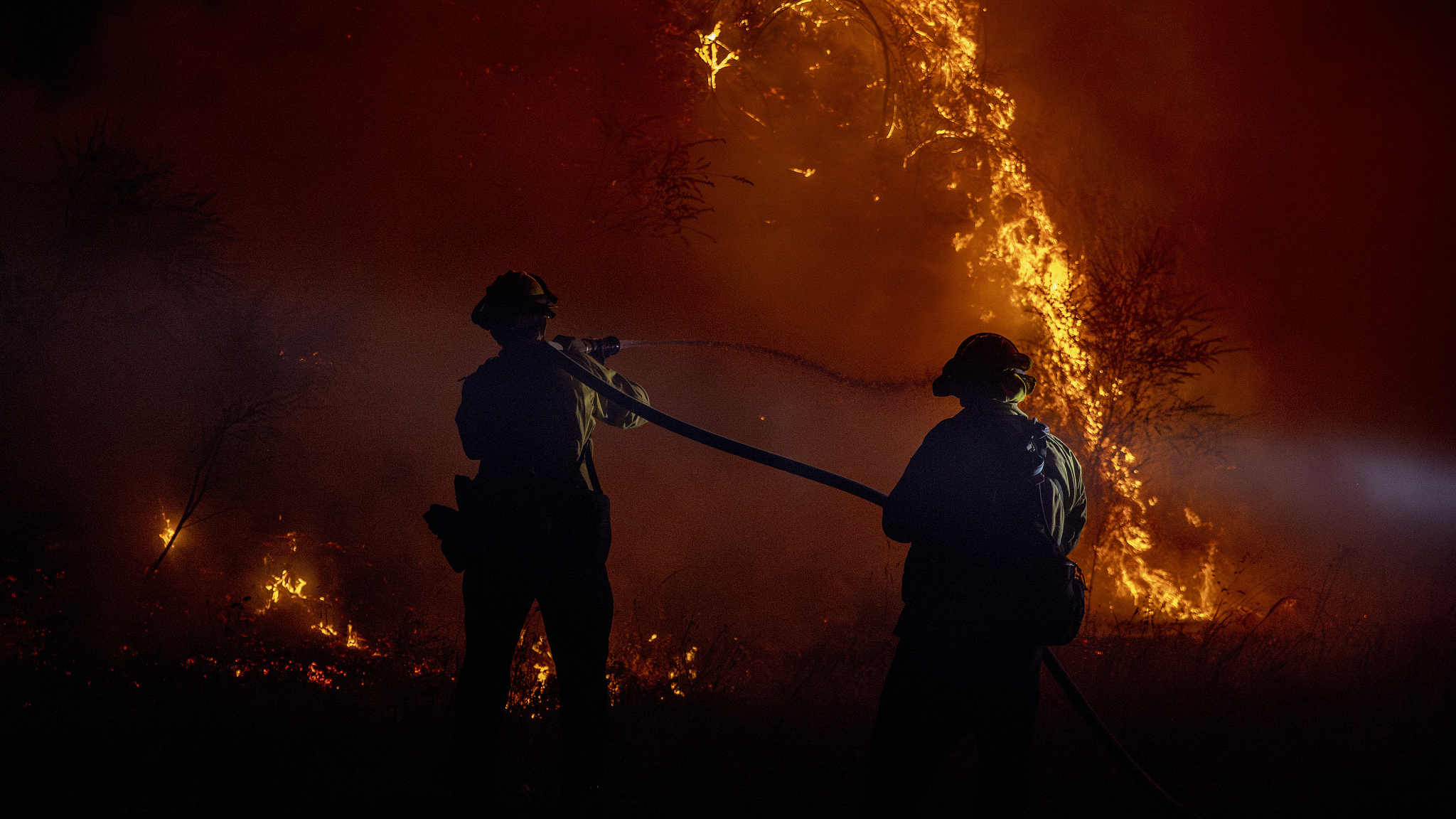 Firefighters from Kenwood Fire Protection District hose a burning hillside while battling the Point Fire in Healdsburg, California, U.S., June 16, 2024. /CFP