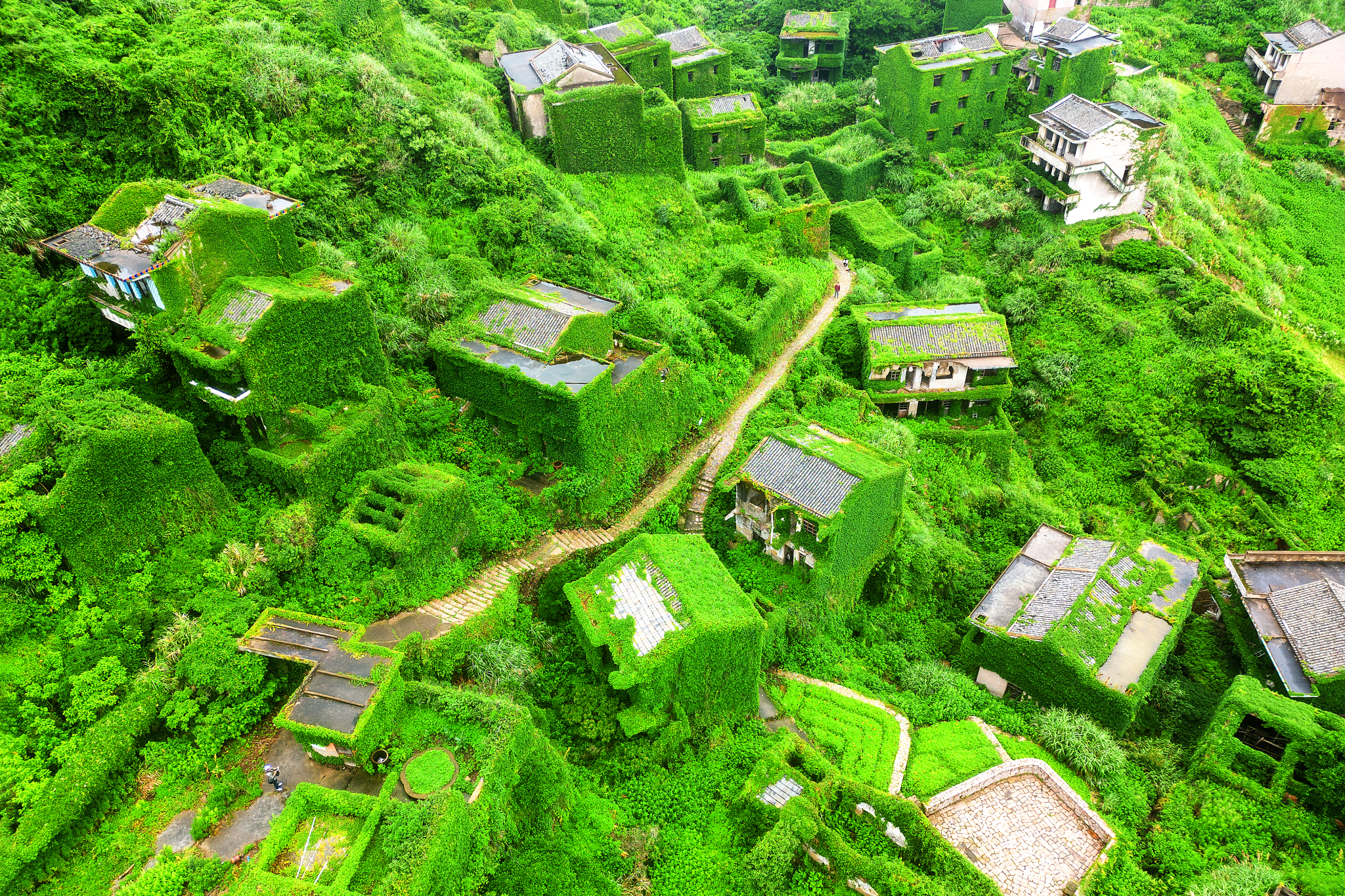 The abandoned fishing village of Houtouwan in Zhejiang Province is seen from above on June 16, 2024. As its residents began moving out in the 1980s and 1990s, the village was overtaken by lush greenery, creating a scene reminiscent of a fairytale. /CFP