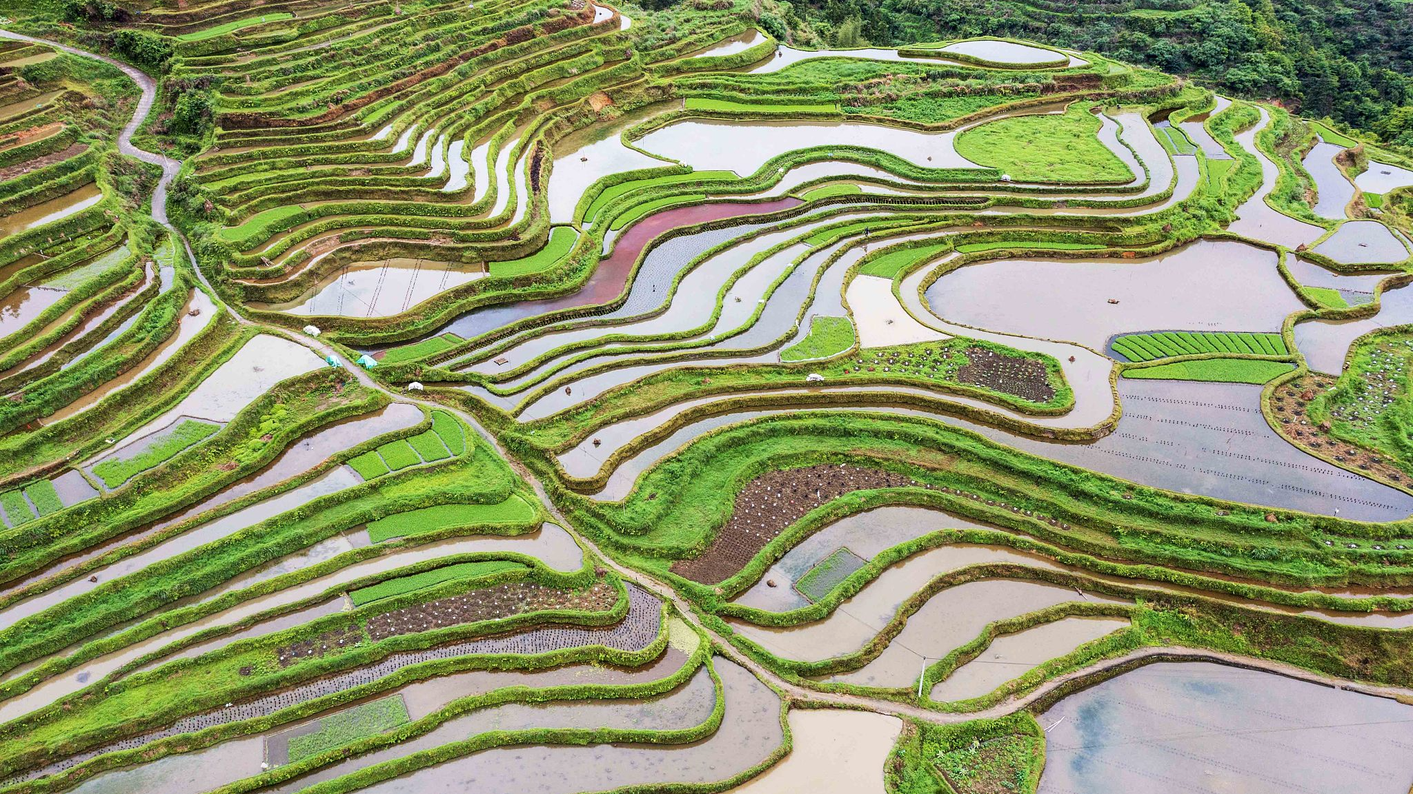 A view of terraced fields in Cenfeng Village, Cuili Yao Zhuang Township in Qiandongnan Prefecture, Guizhou Province, China, May 19, 2024. Guizhou is the only province in China that has no plains. Mountainous and hills occupy 92.5 percent of its land area. The per capita cultivated land area is only 900 square meters, which is lower than the national average. A creative way of building terraced fields was adopted to deal with the situation. Guizhou's lack of land has improved mainly due to the use of low hills and gentle slopes. /CFP