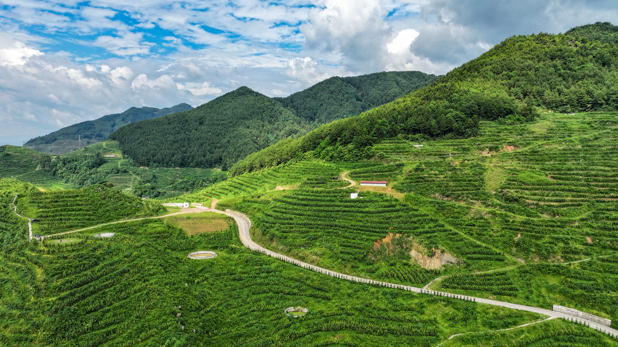 A view of the Guang'an Honey Pear Modern Agricultural Base in Huaying, Sichuan Province, China, May 20, 2024. Huaying has adopted rocky desertification land, abandoned mines, barren hills and slopes to develop an agricultural park of more than 13 square kilometers. Based on the growing of honey pear, it goes beyond developing logistics, warehousing, and processing to even building a theme park and resort village that leads to higher profits. This is a perfect example of how wasteland is efficiently utilized to boost local development. /CFP