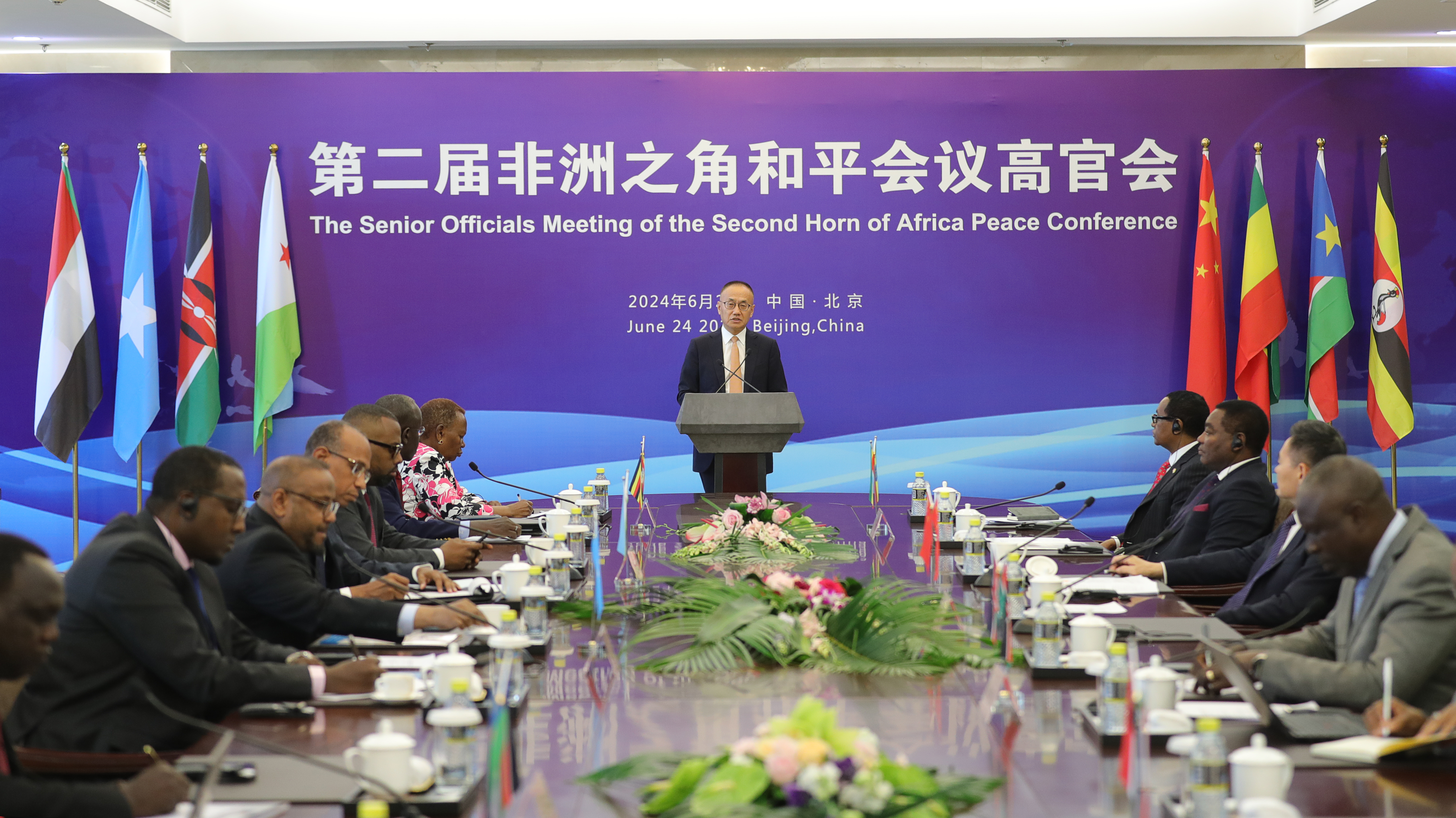 Chinese Vice Foreign Minister Chen Xiaodong addresses the Senior Officials Meeting of the Second Horn of Africa Peace Conference, Beijing, China, June 24, 2024. /China's Ministry of Foreign Affairs