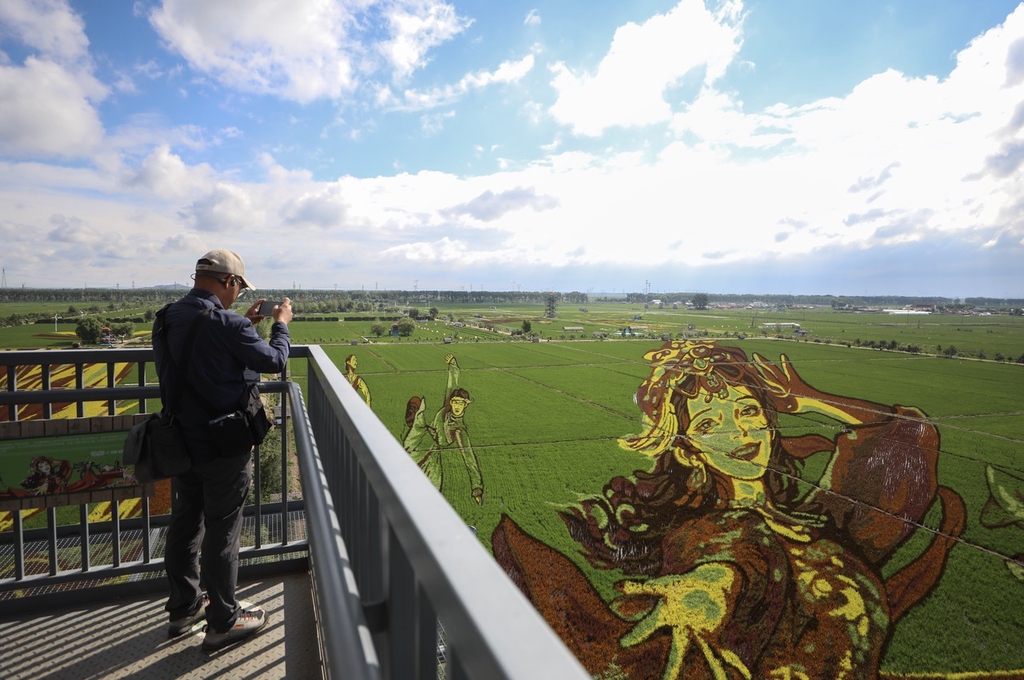 A visitor takes a picture of a mural on a rice field in Shenyang, Liaoning on June 24, 2024. /IC
