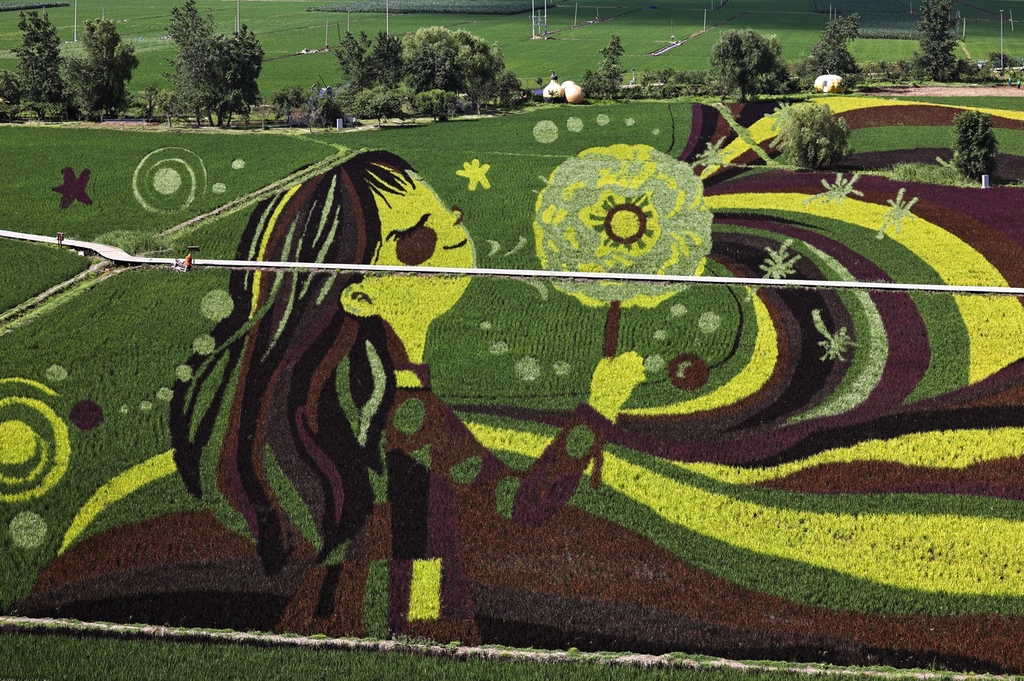 An image of a girl blowing on a dandelion is depicted on a rice field in Shenyang, Liaoning on June 24, 2024. /IC