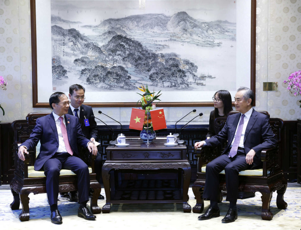 Chinese Foreign Minister Wang Yi (R), also a member of the Political Bureau of the Communist Party of China Central Committee, holds talks with Vietnamese Foreign Minister Bui Thanh Son in Beijing, China, June 26, 2024. /Chinese Foreign Ministry