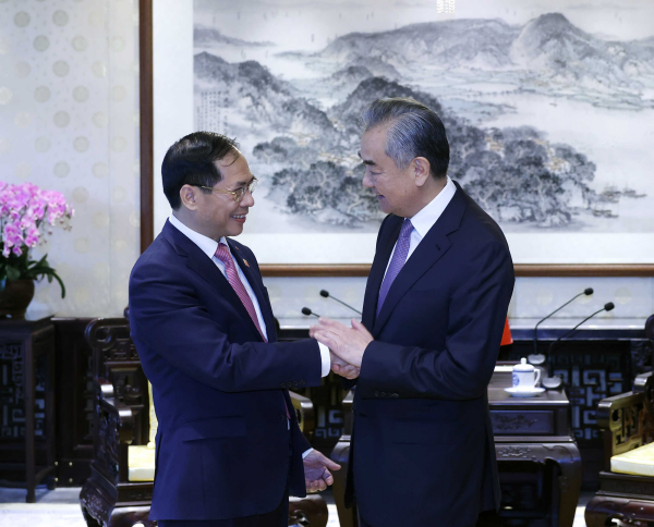 Chinese Foreign Minister Wang Yi (R), also a member of the Political Bureau of the Communist Party of China Central Committee, meets with Vietnamese Foreign Minister Bui Thanh Son in Beijing, China, June 26, 2024. /Chinese Foreign Ministry