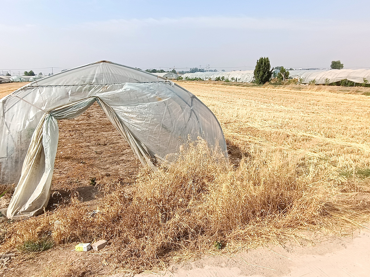 Greenhouses in the farmland suffer from drought in Huaibei City, Anhui Province, east China, June 13, 2024. /CFP