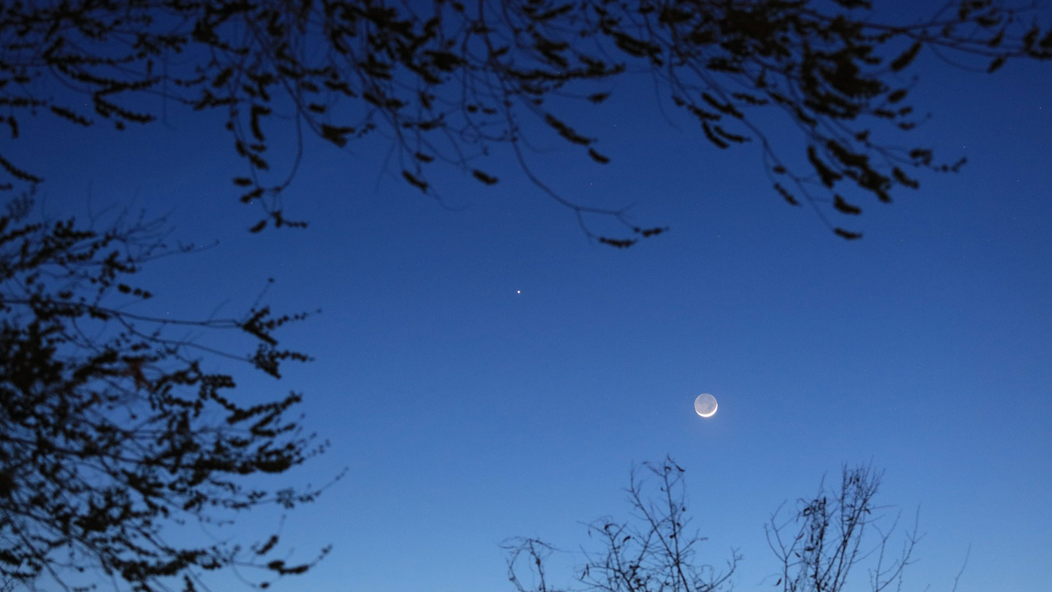 The moon and Jupiter are seen in the night sky over Korla City, northwest China's Xinjiang Uygur Autonomous Region, April 10, 2024. /CFP