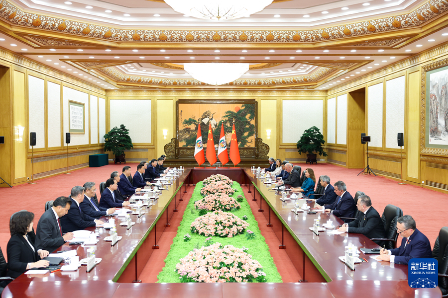 Chinese President Xi Jinping holds talks with Peruvian President Dina Ercilia Boluarte Zegarra in Beijing, China, June 28, 2024. /Xinhua