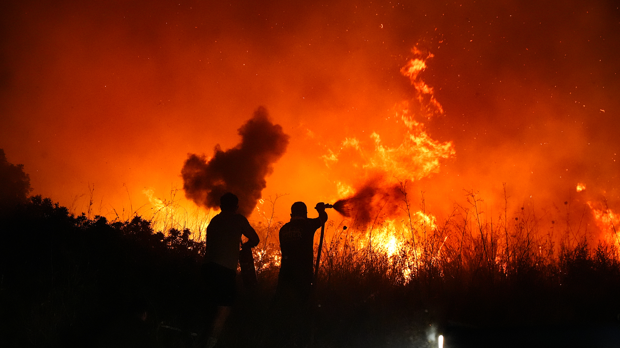 Efforts to extinguish the wildfire continue as two hotels and many houses around the area are evacuated in the Selcuk district of Izmir, Turkey, June 29, 2024. /CFP