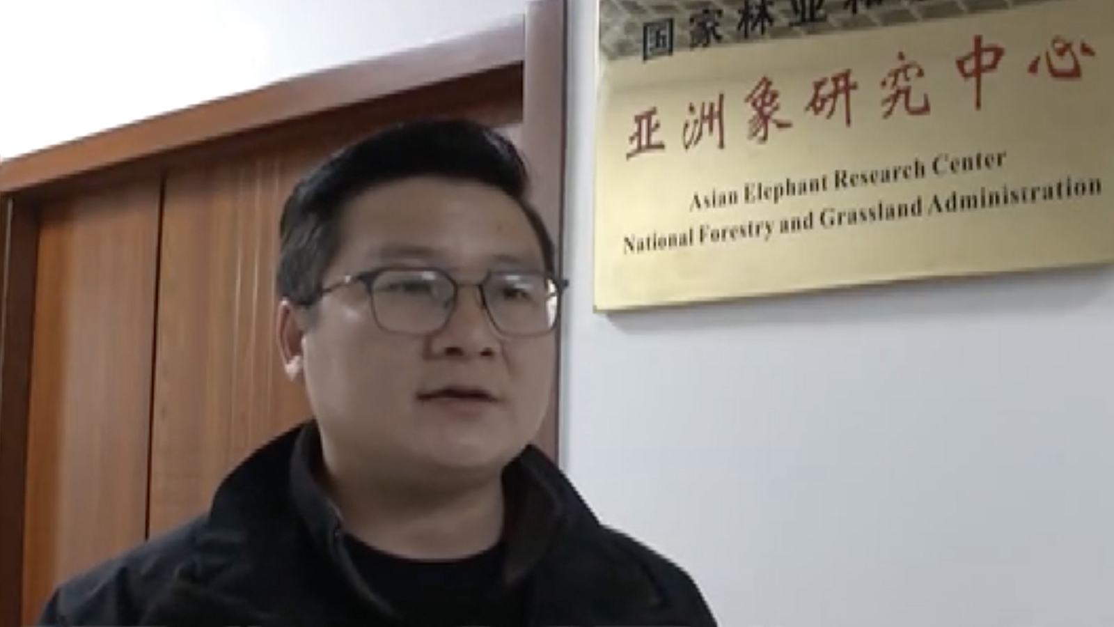 Chen Fei, director of the Asian Elephant Research Center under the National Forestry and Grassland Administration. /CMG