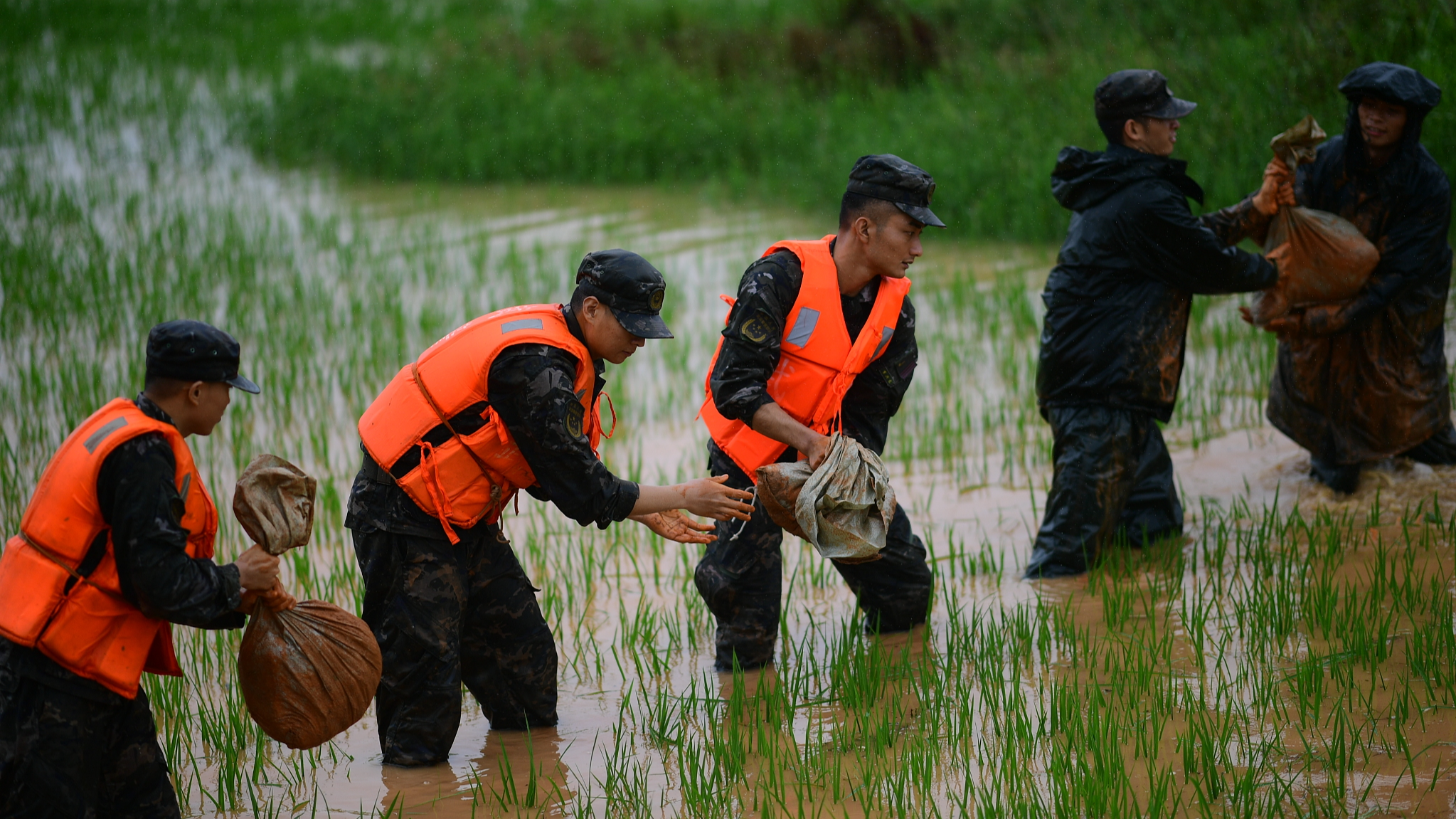 Soldiers pass sandbags to prevent soil erosion due to severe flooding at a farmland in Yongxiu County, Jiujiang, Jiangxi Province, July 2, 2024. /CFP 