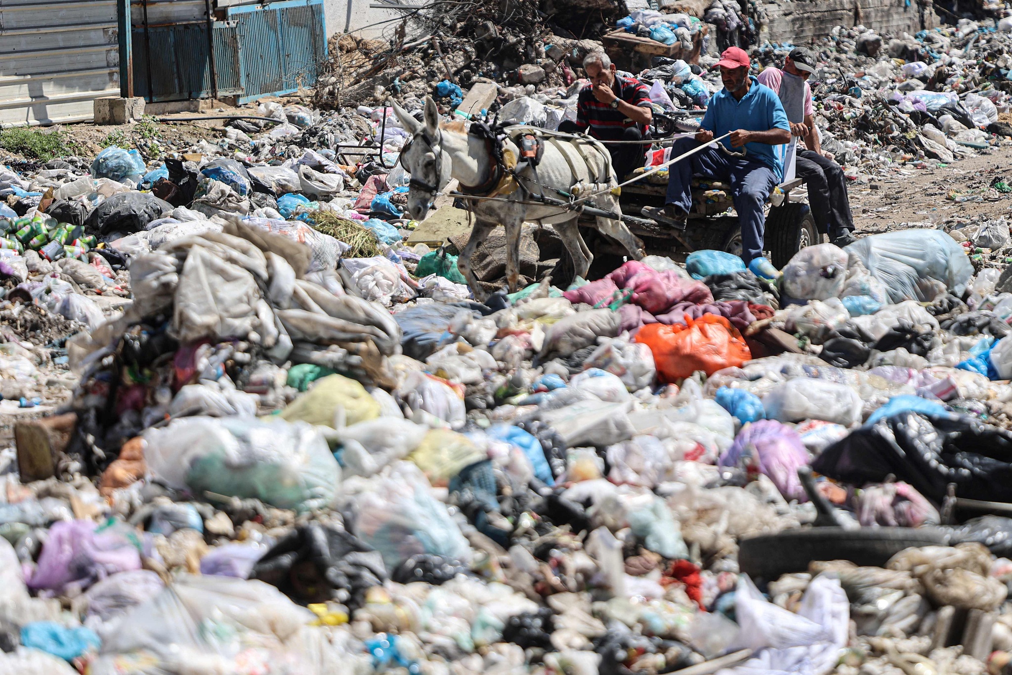 A donkey cart is driven past mounds of garbage in the Sheikh Radwan neighborhood, northern Gaza City, July 3, 2024. /CFP