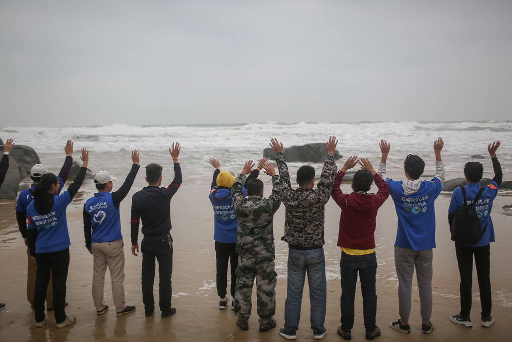 A file photo shows people waving to bid farewell to sea turtles in Wenchang, Hainan. /CFP