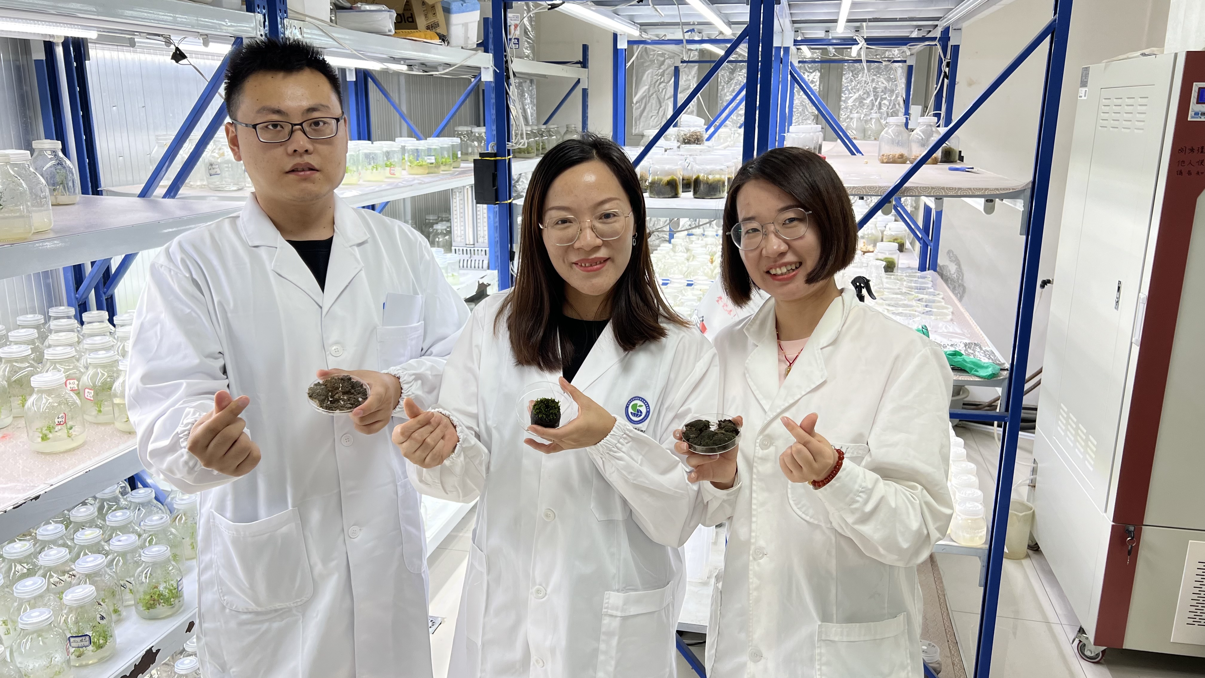 Researchers at the Xinjiang Institute of Ecology and Geography hold steppe screw moss on the hand. /Courtesy of the Xinjiang Institute of Ecology and Geography