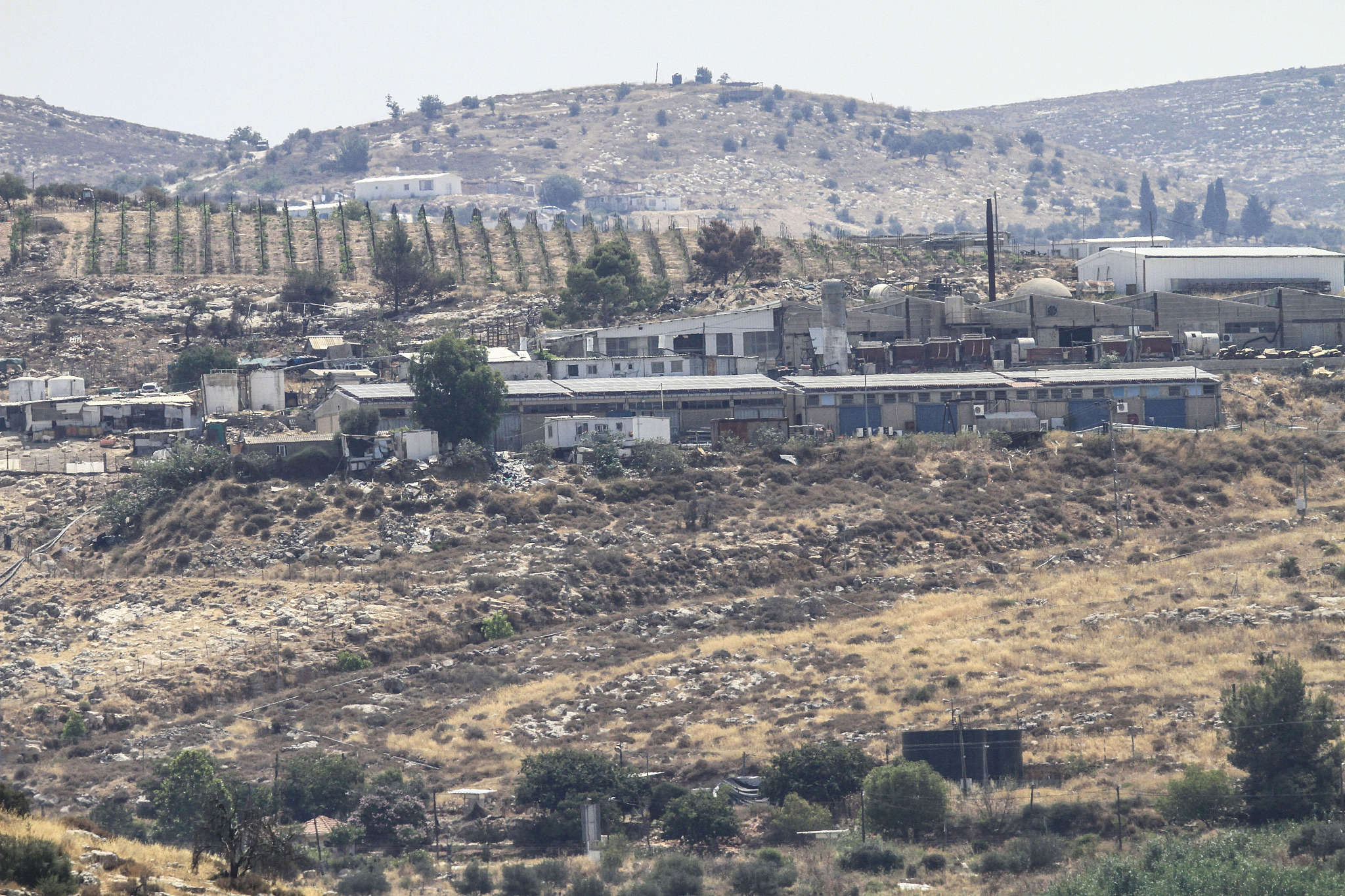 The Jewish settlement of Elon Moreh, east of the city of Nablus in the West Bank. The Israeli occupation government agreed to build 186 new settlement units, which is considered the largest settlement expansion since the Oslo Accords signed between the Israeli government and the Palestinian Authority, July 4, 2024. /CFP