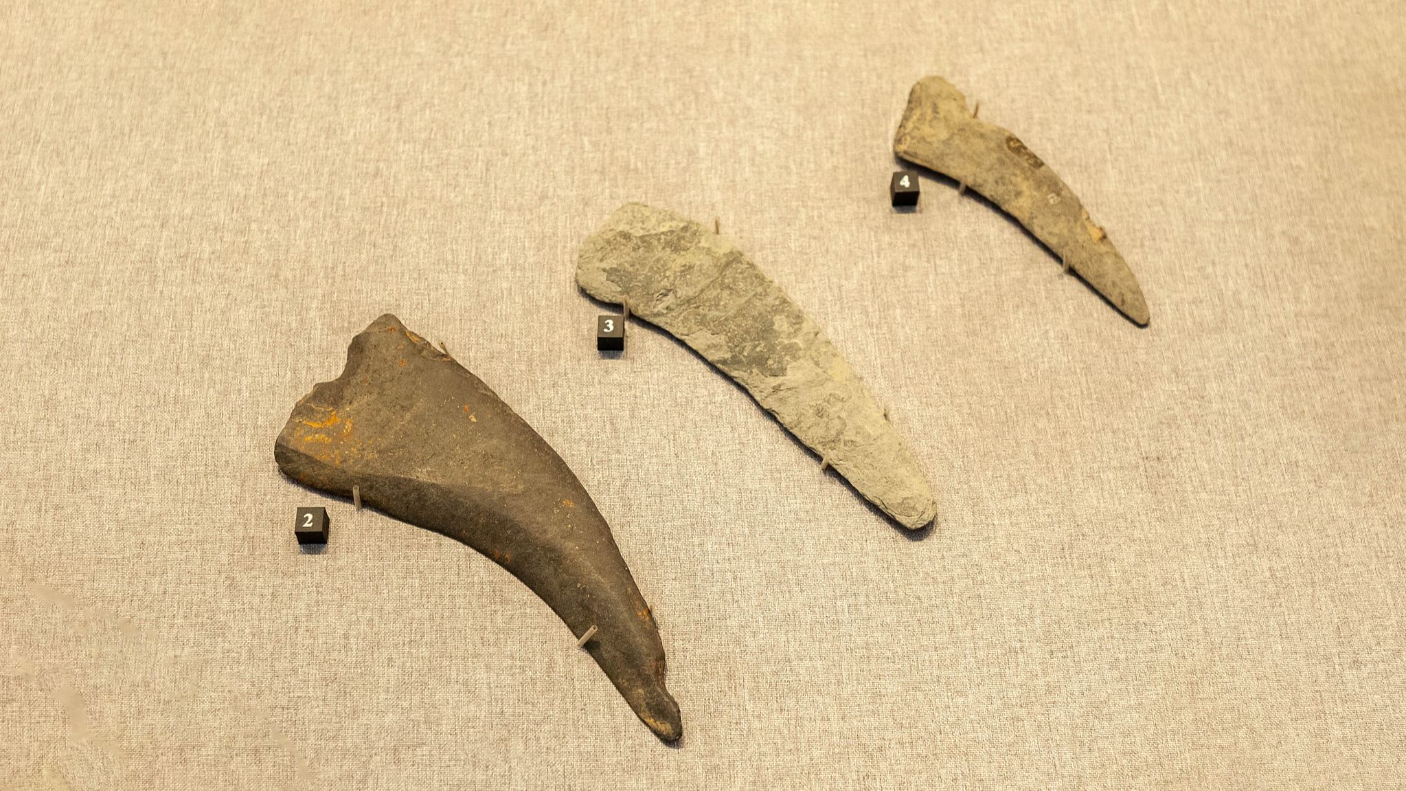 Stone sickles are part of the exhibits at the Liangzhu Museum in eastern China's Hangzhou. The people of the Liangzhu culture used stone sickles for harvesting rice and other crops. /VCG