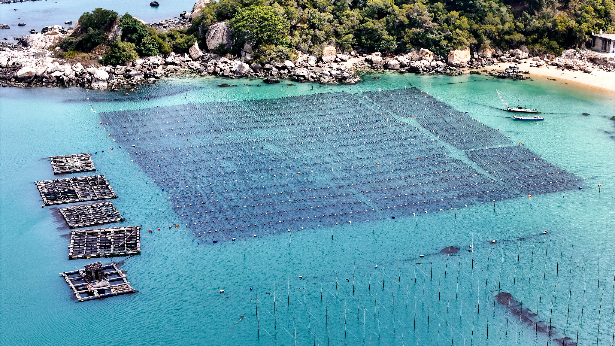 The marine fishery ecological breeding area features a vast array of colorful ecological floating balls on the sea surface in Shantou, Guangdong Province, on Feb 18, 2024. /CFP