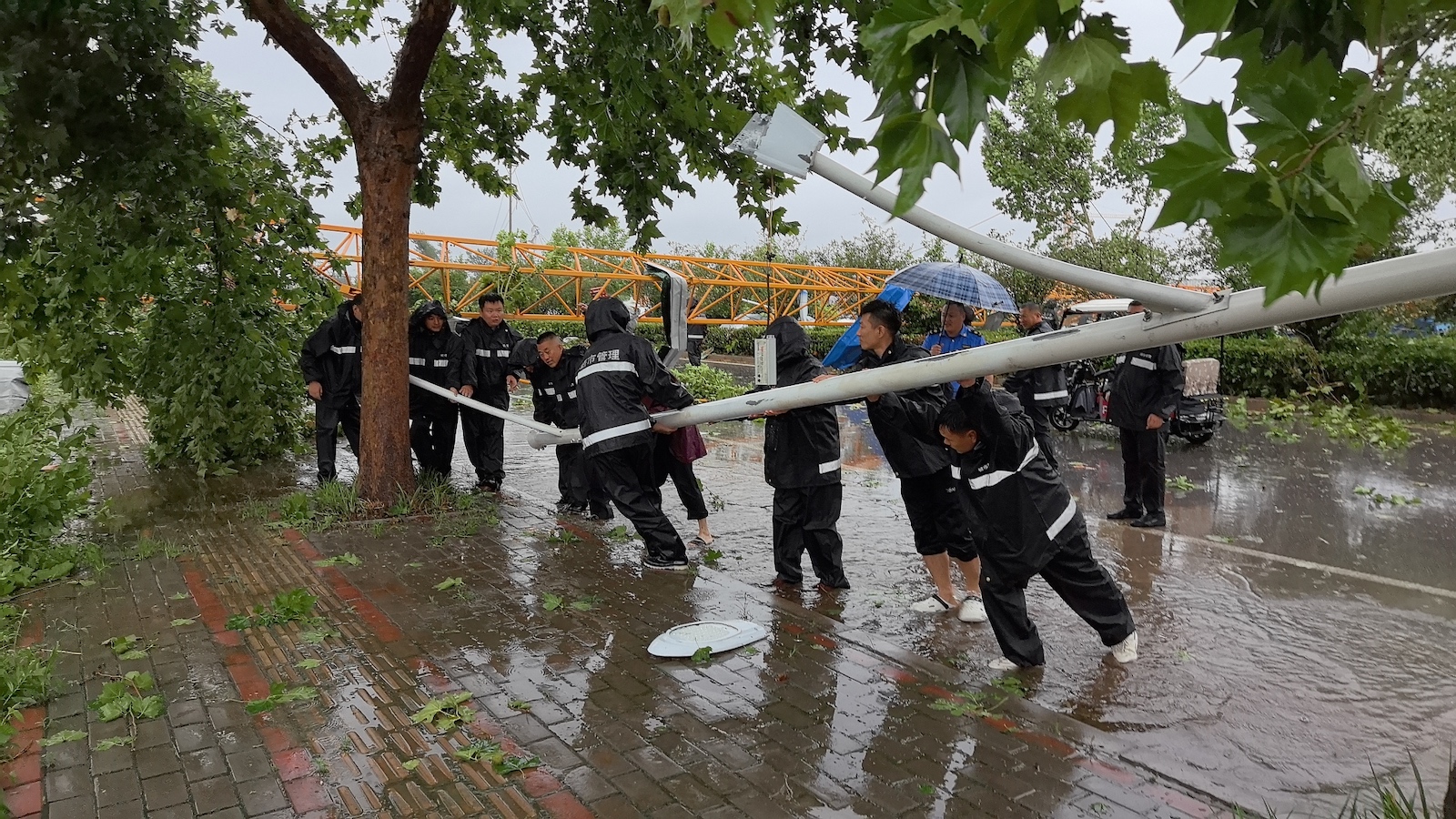 Fallen poles and trees are removed after the severe convective weather in Heze City, Shandong Province, east China, July 5, 2024. /CFP