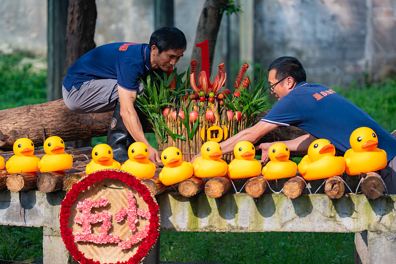 Keepers prepare a fruit cake for giant panda Mang Cancan at Chongqing Zoo in southwest China, July 6, 2024. /CFP