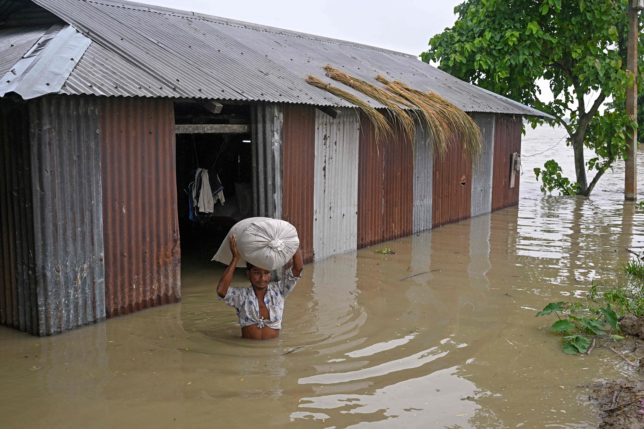 A man wades across flood waters as he carries a sack of rice from his house deluged by heavy rains in Assam on July 2, 2024. /CFP