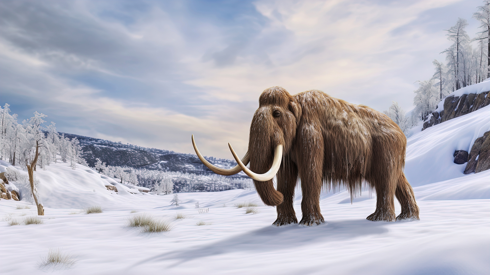 A concept drawing of a mammoth. /CFP