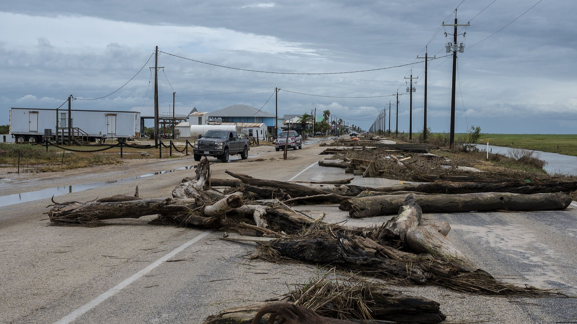 Damaged trees after Hurricane Beryl hit Matagorda, Texas, U.S., July 8, 2024. /CFP 