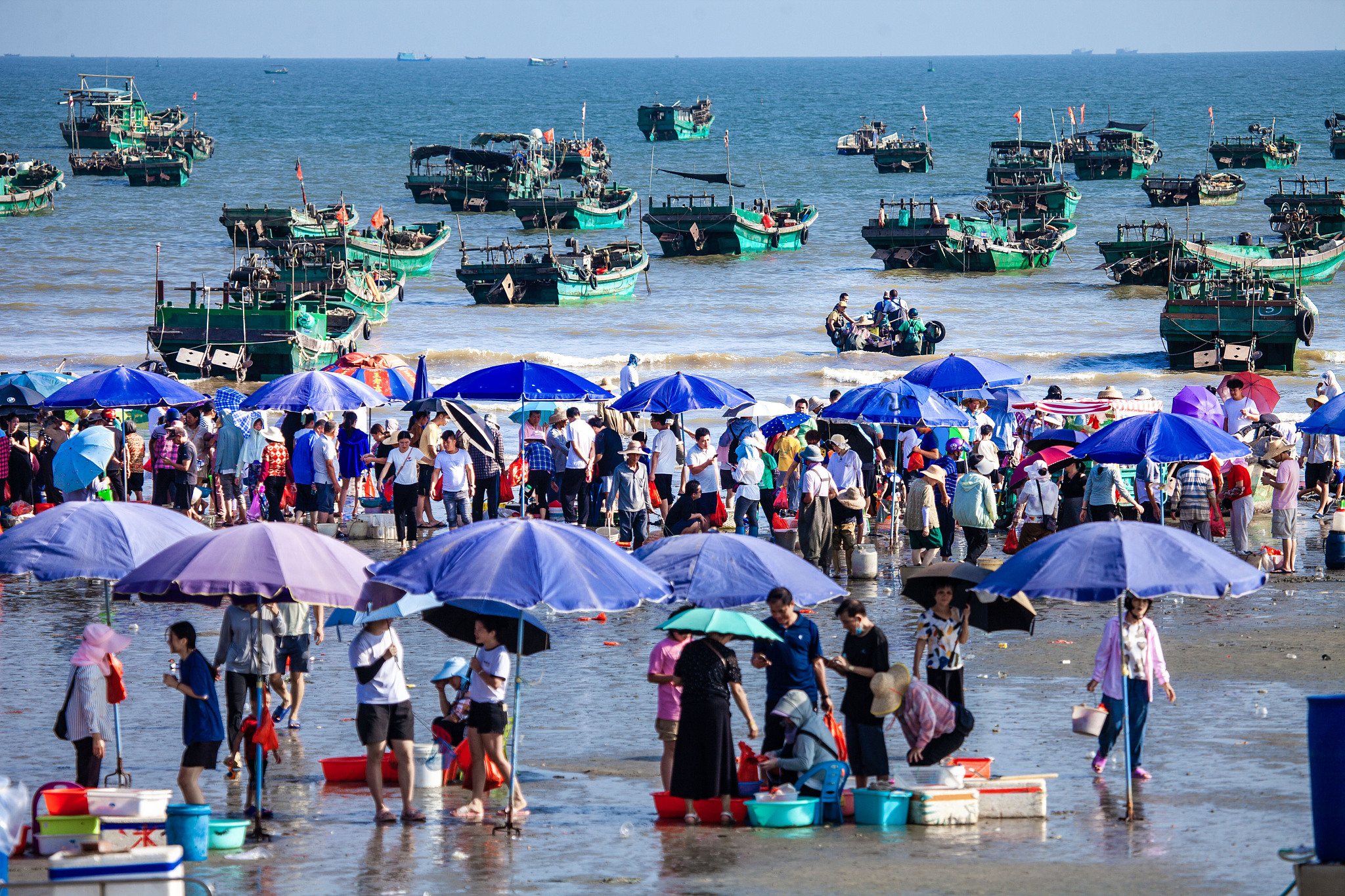 The lively seaside fishing village in Maoming, south China's Guangdong Province, August 16, 2023. /CFP