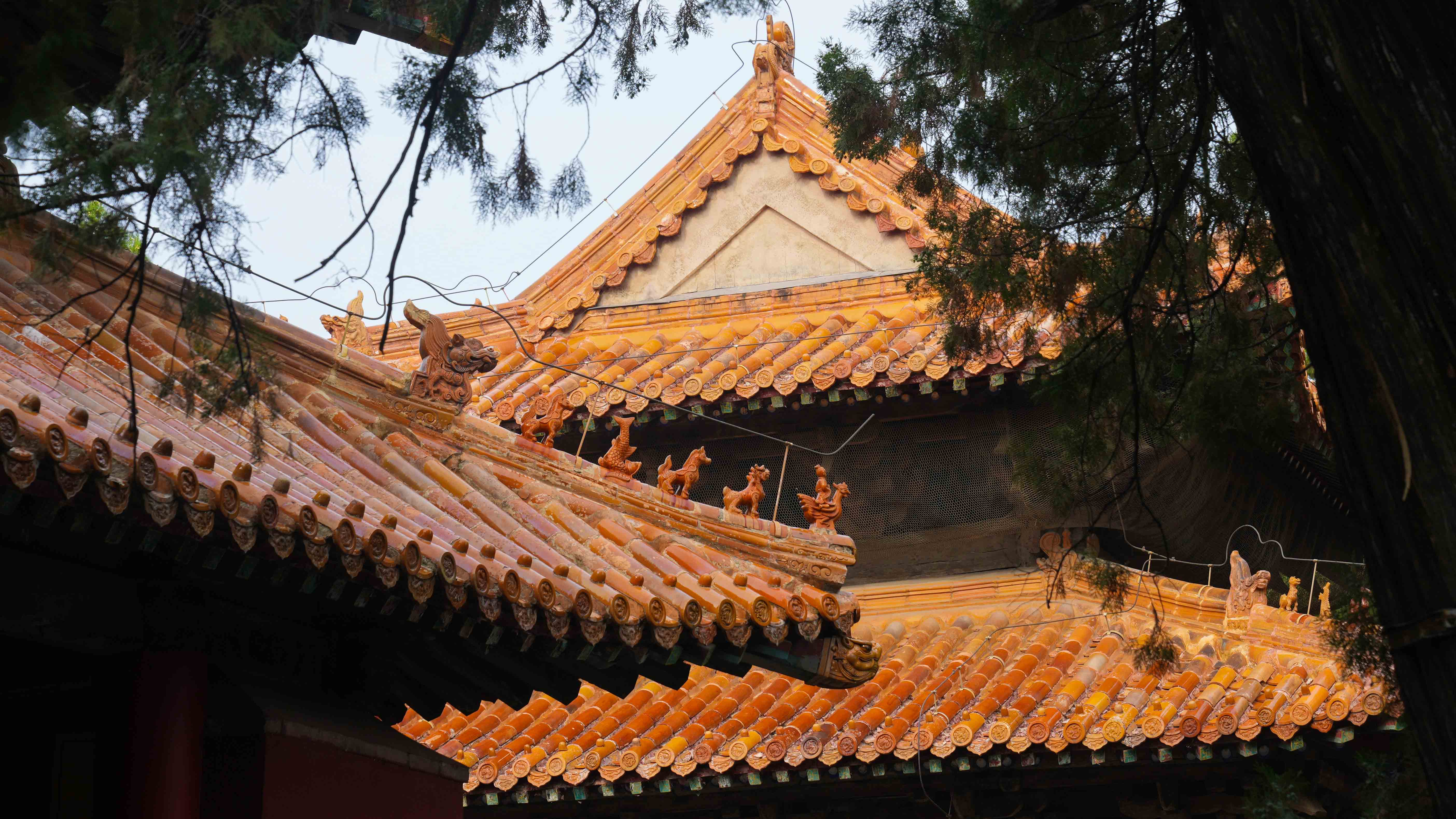 Attendees at 10th Nishan Forum visit Qufu's renowned Confucian Temple