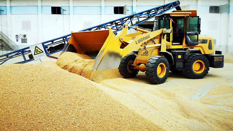 China achieves bumper summer grain harvest in 2024