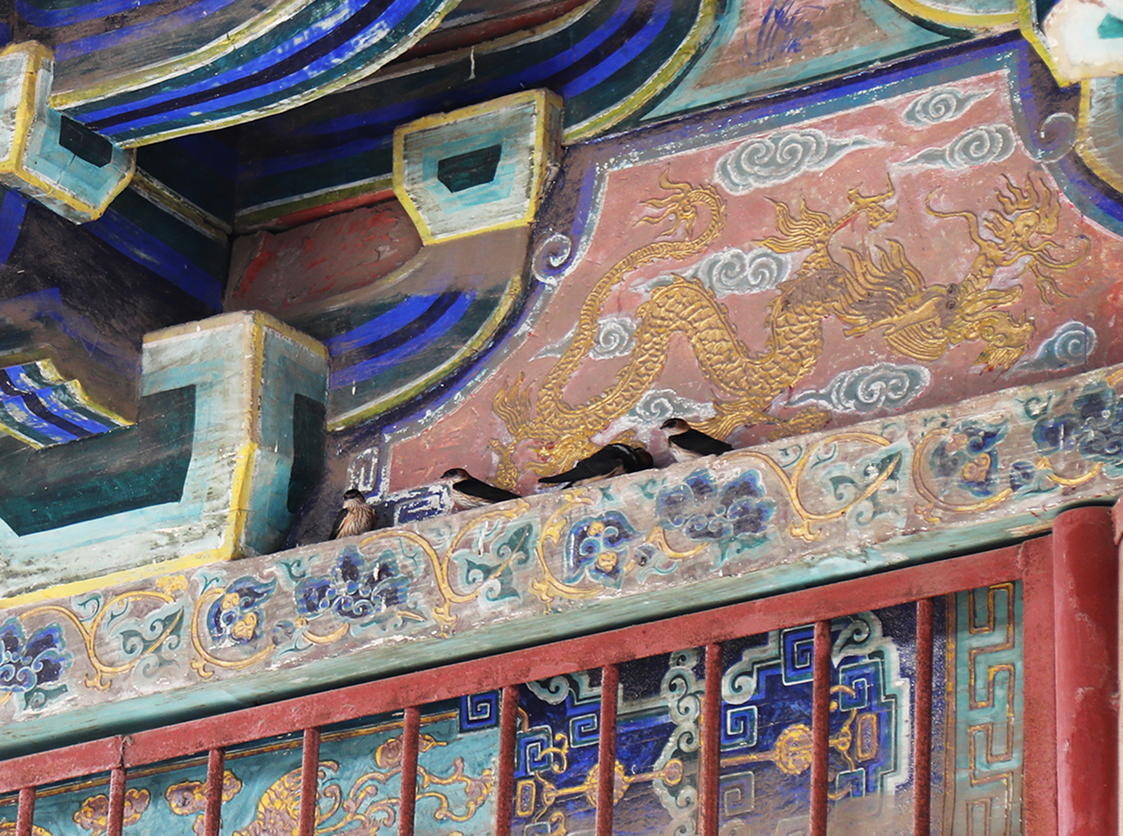 Birds perch under the eaves of a building at Jade Emperor Temple. /CGTN