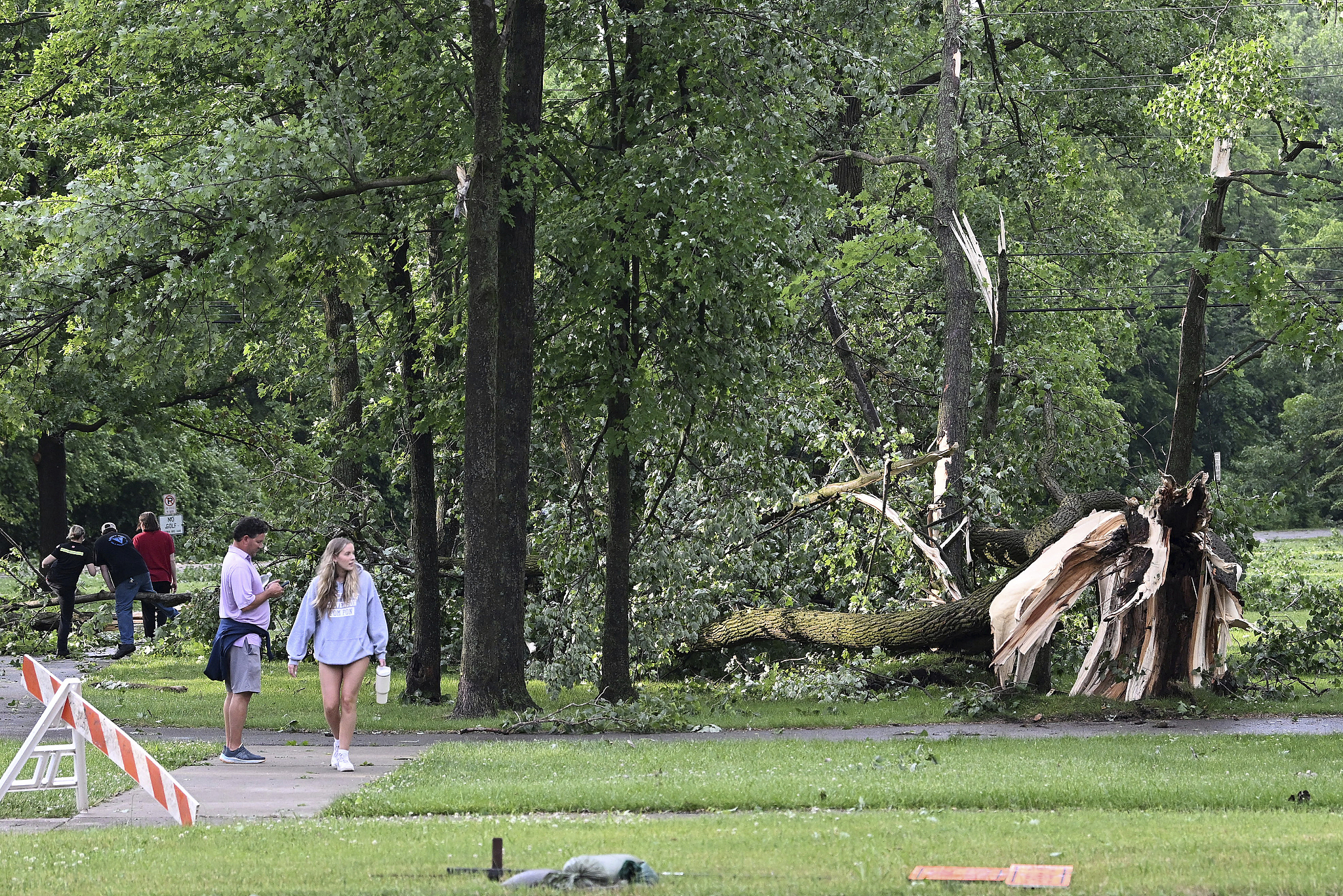 People walk around Rotary Park looking at downed trees after a tornado swept through the area in Livonia, Michigan, the U.S., June 5, 2024. /CFP