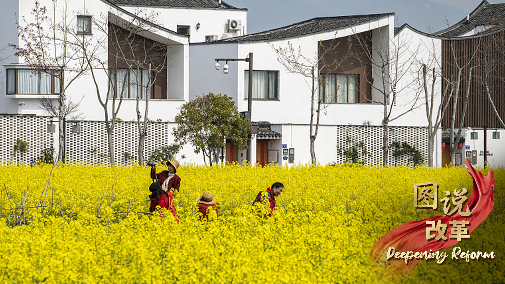 China sees improved living environment in rural areas