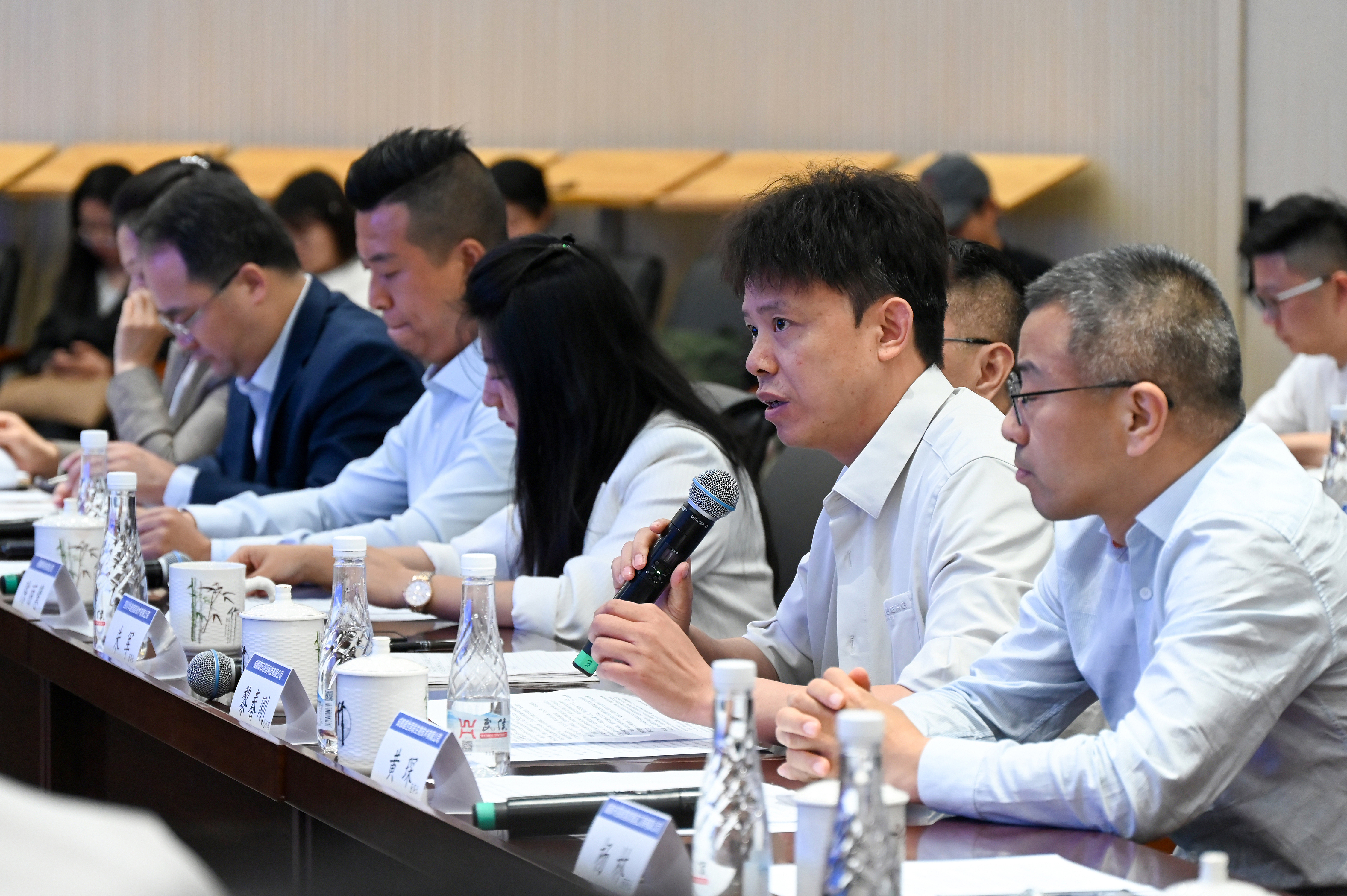 A representative of private enterprises speaks at a meeting on high-quality development of private economy in Chengdu, Sichuan Province, southwest China, May 7, 2024. /CFP
