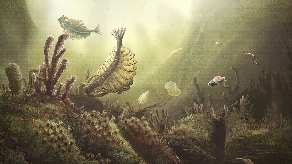An illustration of marine life in the Cambrian period. /CFP