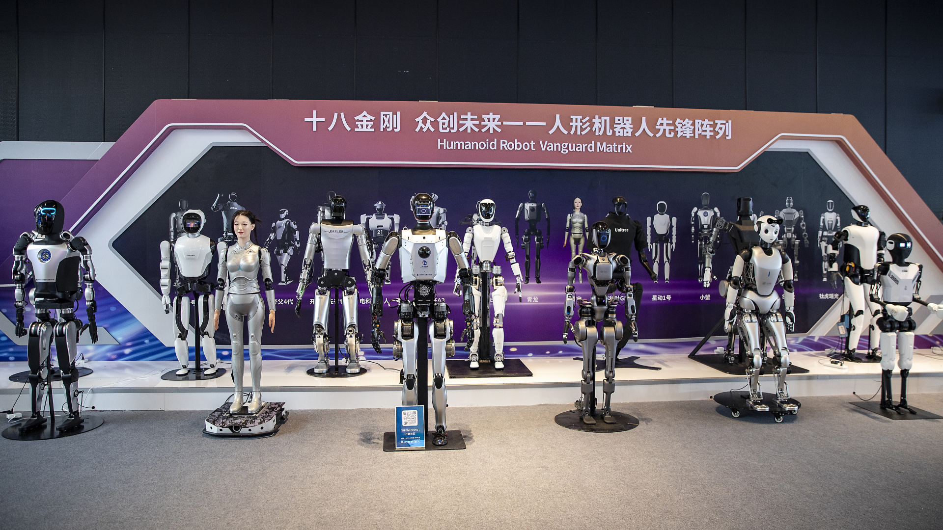 China seeing increased momentum in humanoid robot industry