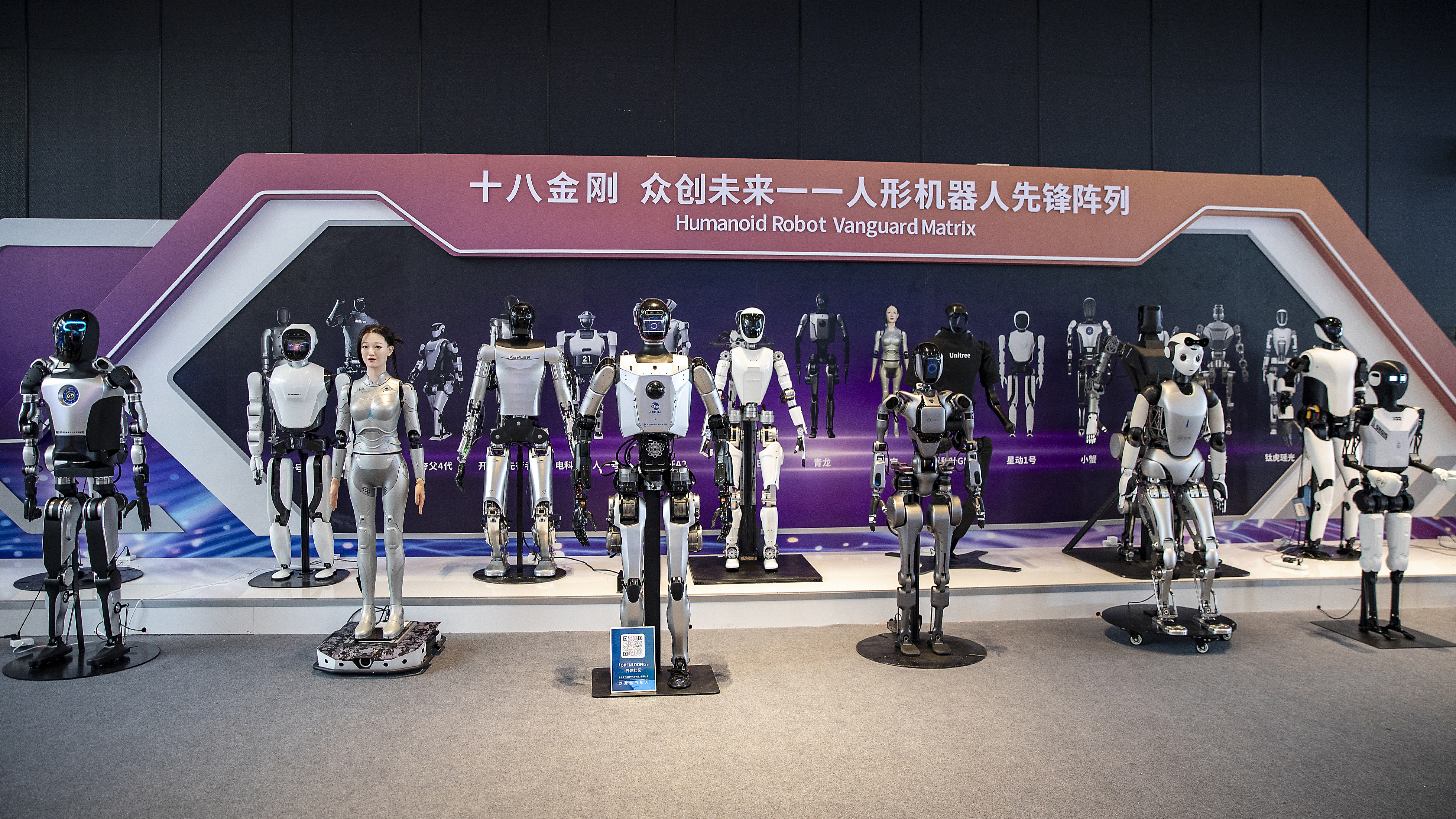 Humanoid robots at the 2024 World Artificial Intelligence Conference, Shanghai, China, July 6, 2024. /CFP