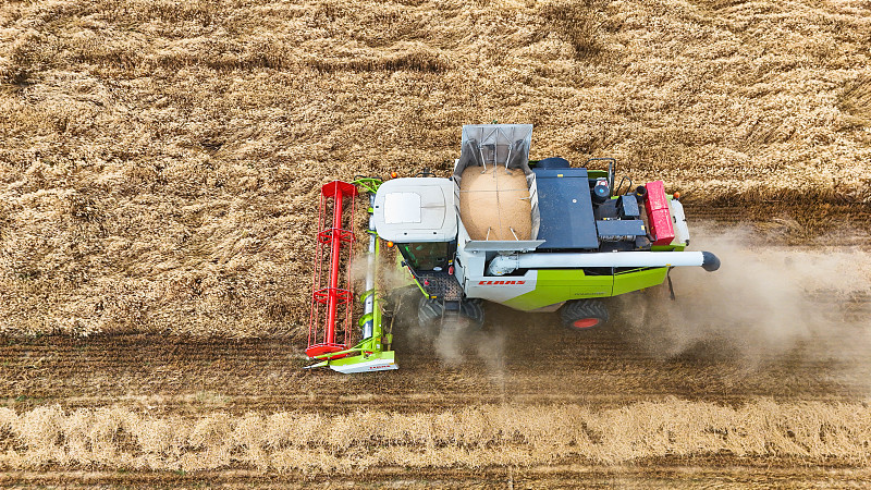 A farmer operates a combine harvester through the wheat fields in Hutubi County of Hui Autonomous Prefecture of Changji, northwest China's Xinjiang Uygur Autonomous Region, July 5, 2024. /CFP