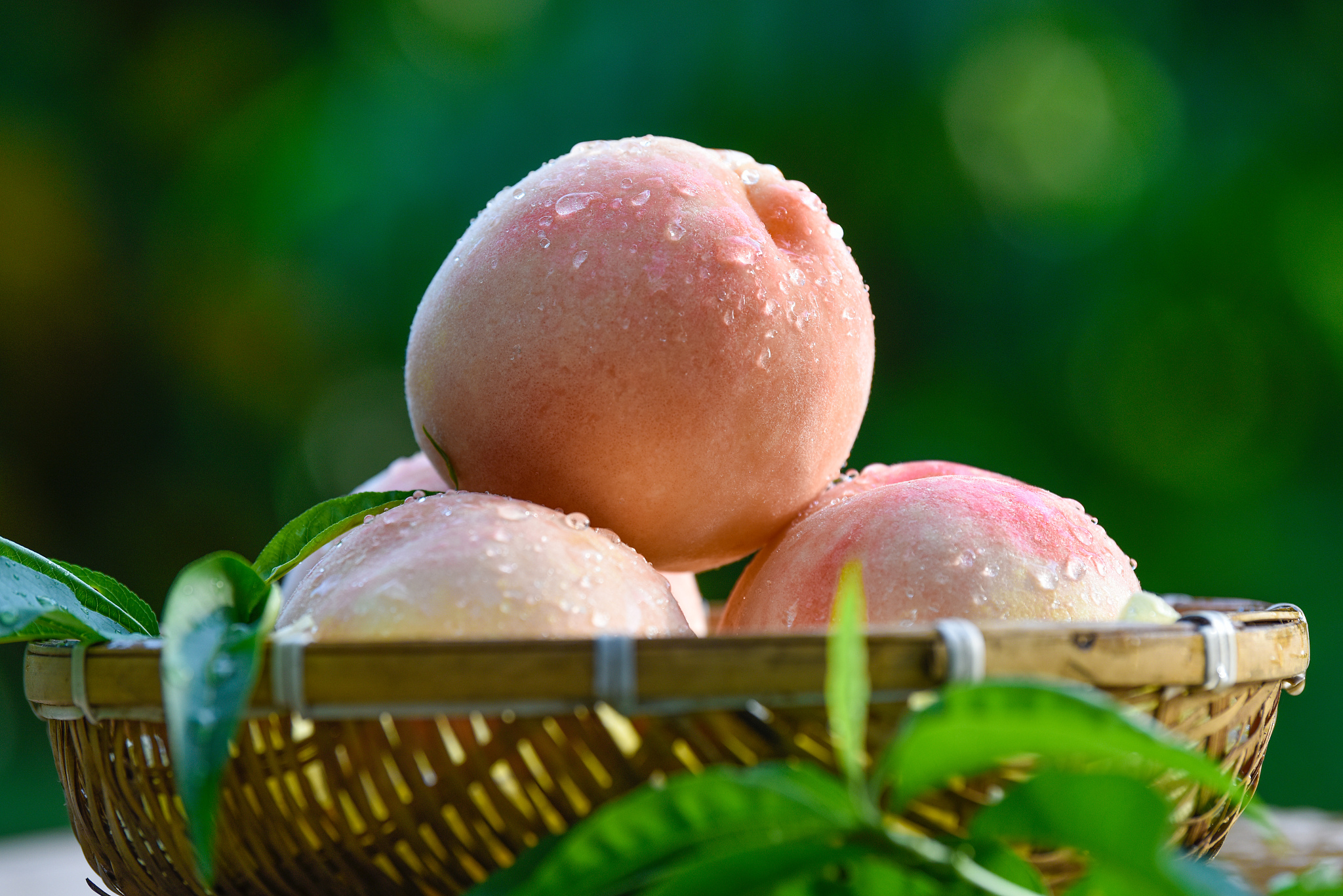 Explore Wuxi: Celebrate summer with Yangshan honey peaches
