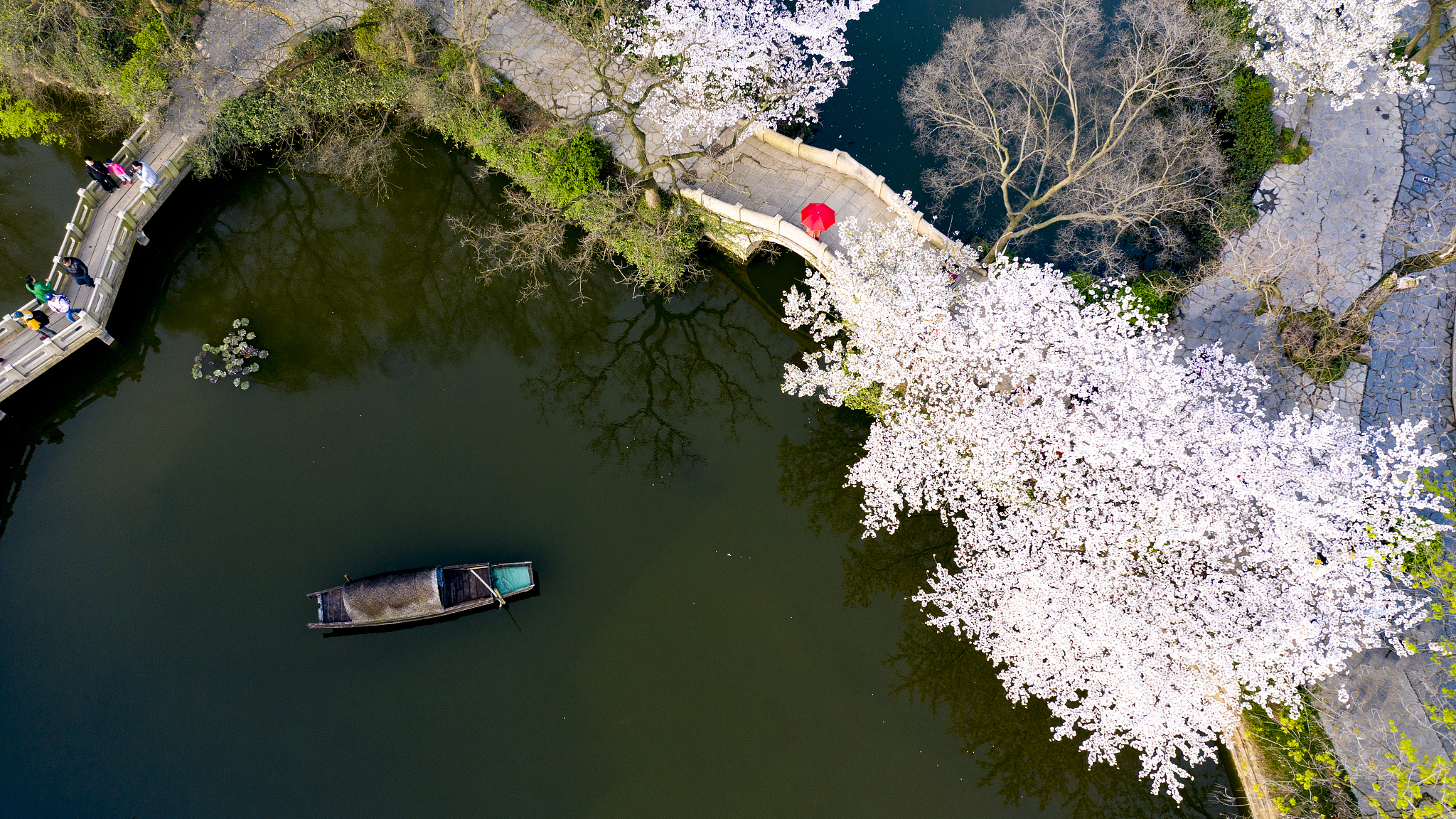 Explore Wuxi: Cherry blossoms in Yuantouzhu Scenic Area