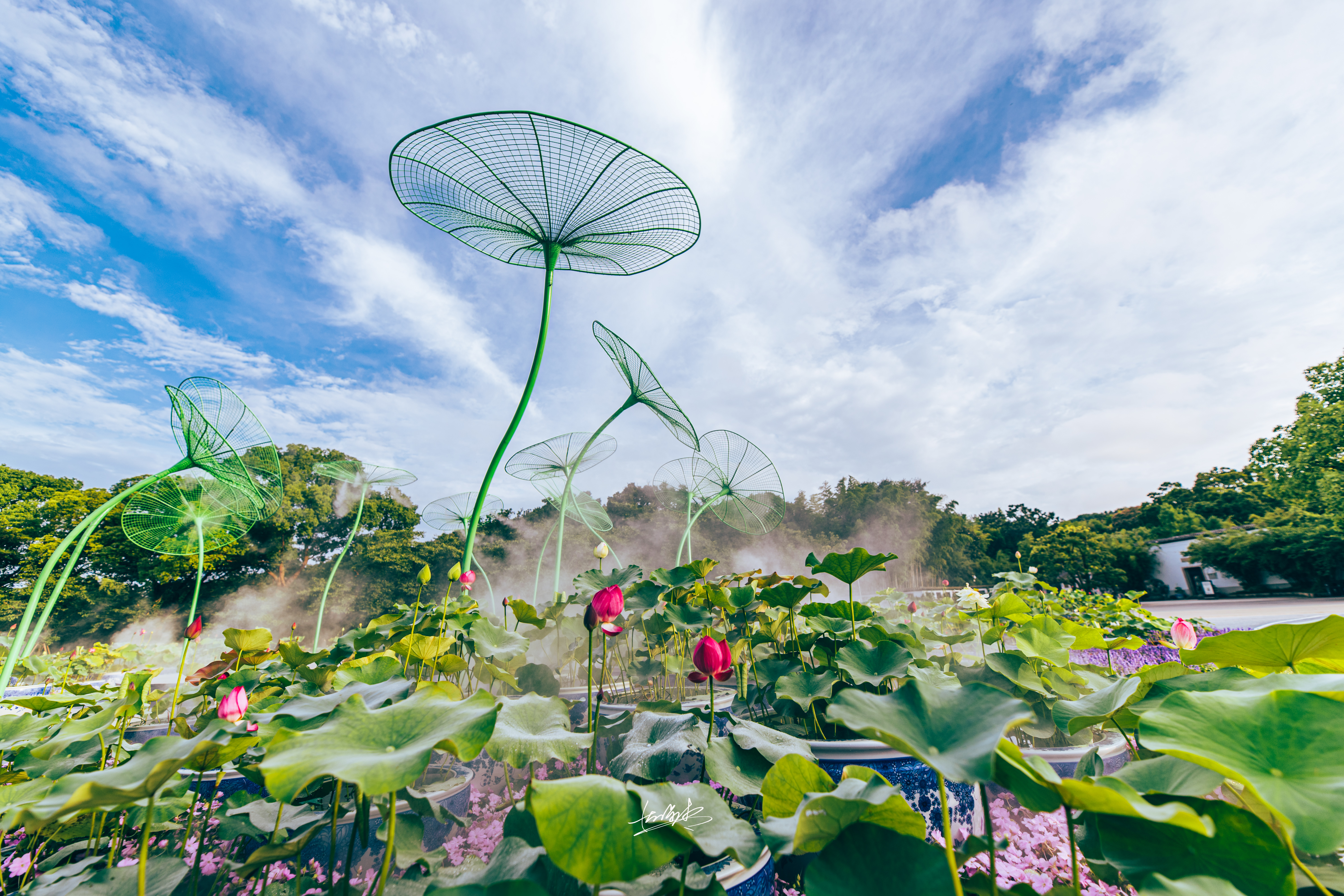 The National Lotus Exhibition at the Yuantouzhu scenic area in Wuxi, Jiangsu Province is set to run until August 31, 2024. /Photo provided to CGTN