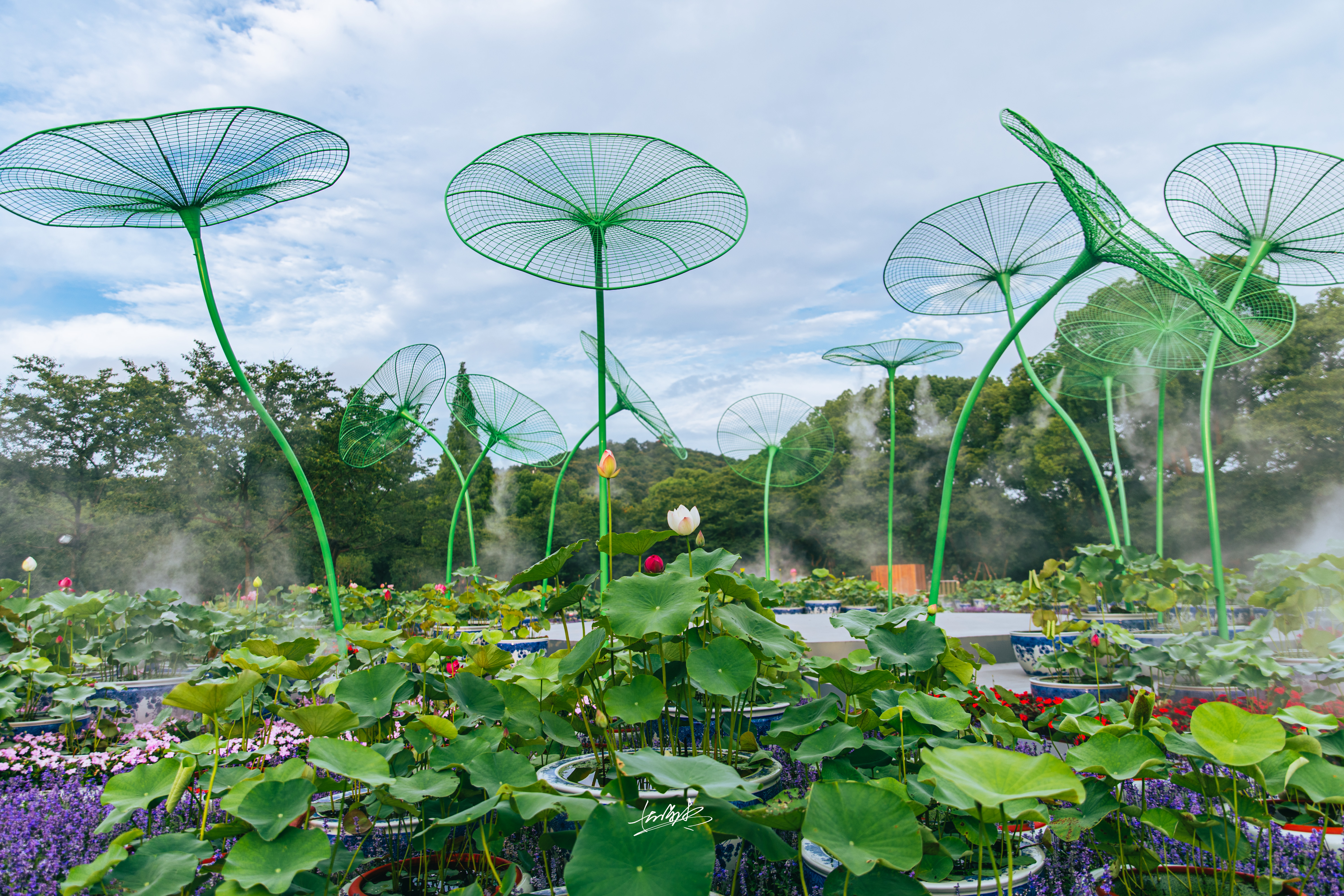 The National Lotus Exhibition at the Yuantouzhu scenic area in Wuxi, Jiangsu Province is set to run until August 31, 2024. /Photo provided to CGTN
