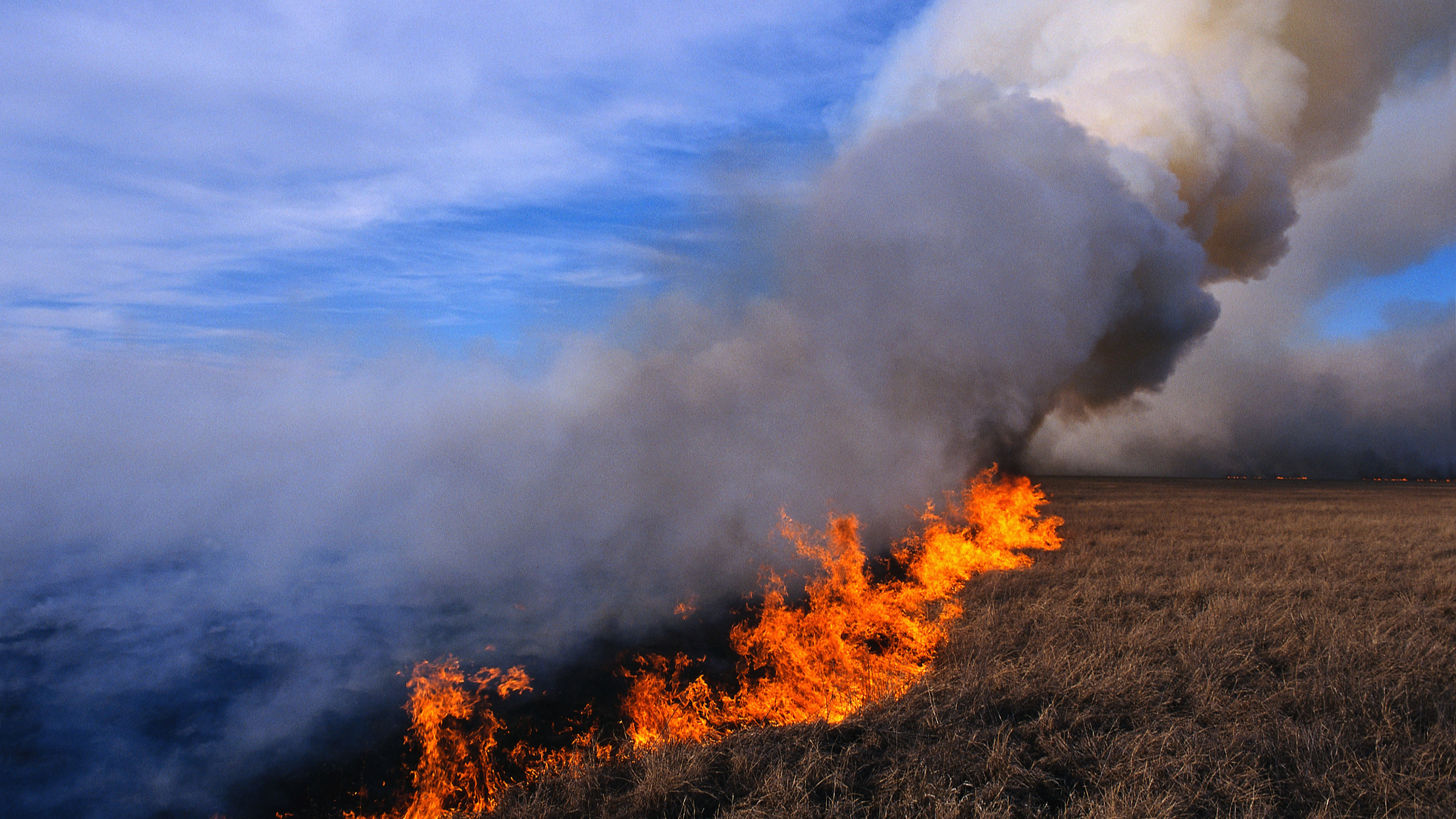A total of 90 forest and steppe fires have been reported across Mongolia since the beginning of this year, according to the country's National Emergency Management Agency (NEMA). /CFP
