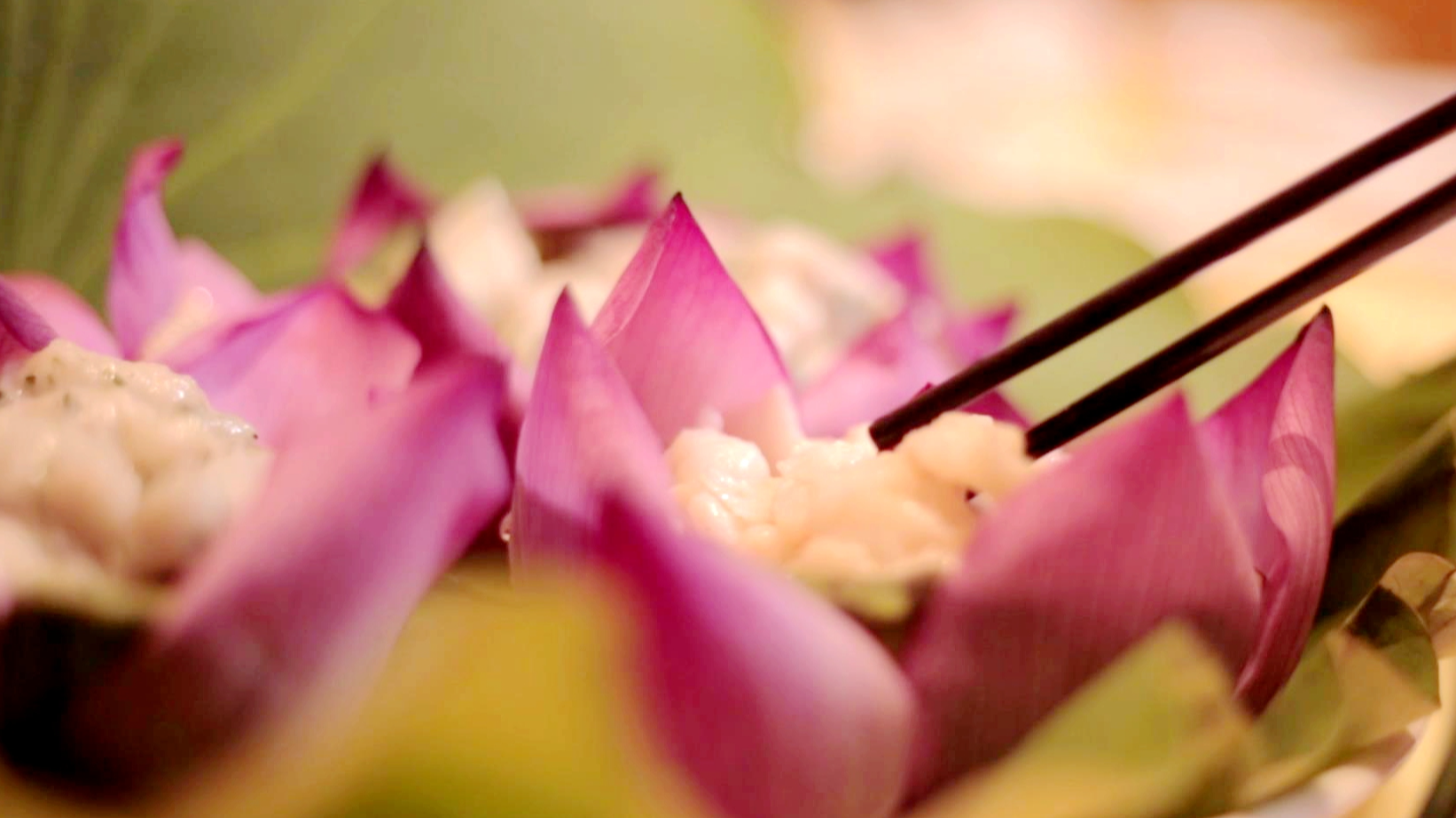 Experience the beauty of lotus in Wuxi
