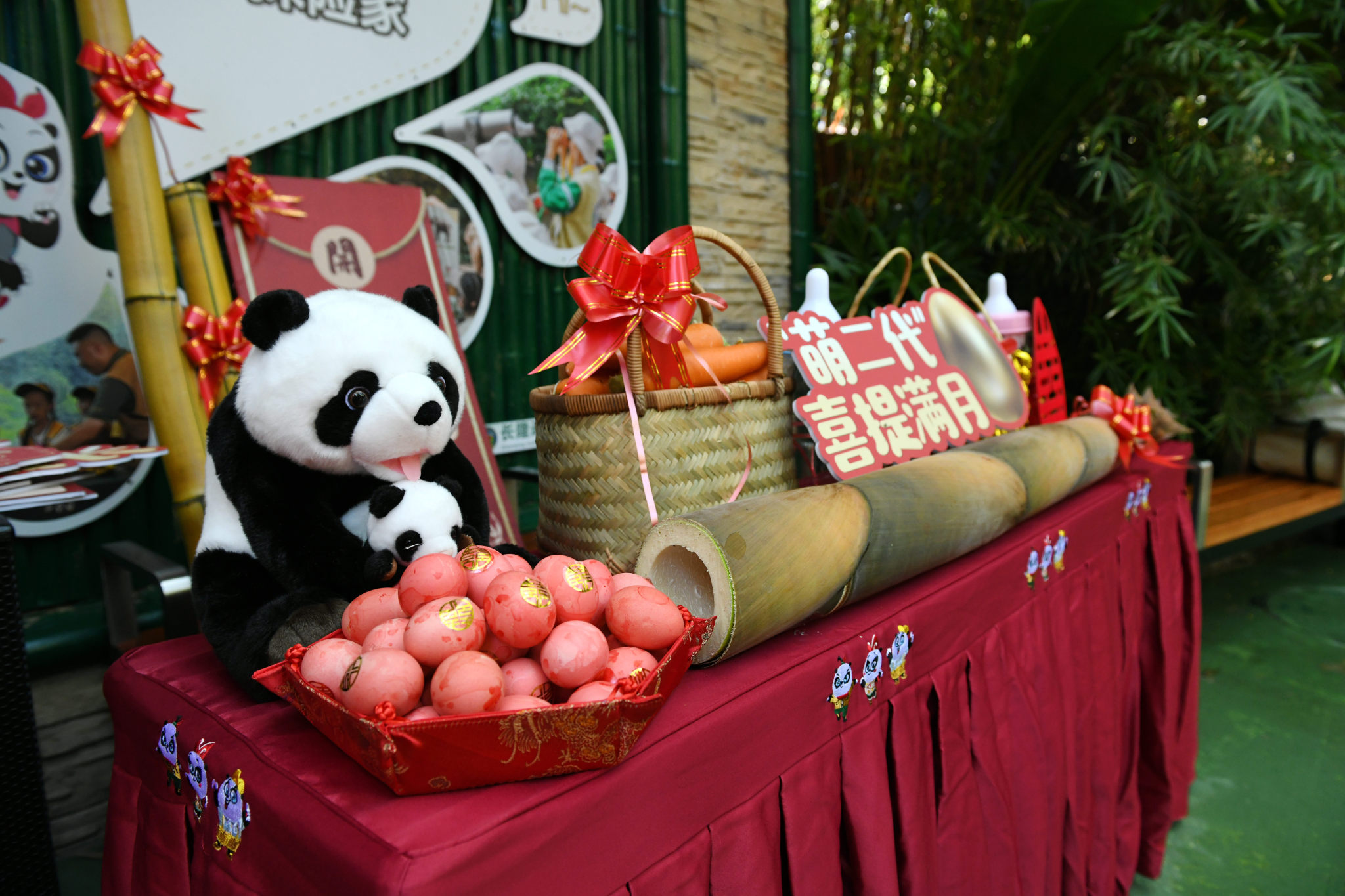 A ceremony takes place at Chimelong Safari Park in Guangzhou, south China's Guangdong Province, marking the one-month birthday of a female panda cub born to Meng Meng, the eldest of the world's only giant panda triplets, on July 18, 2024. /CFP