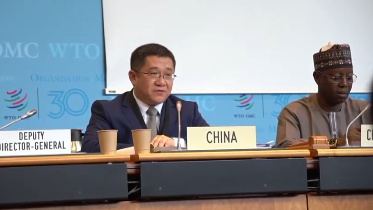 China addresses WTO members' concerns, denies 'overcapacity' claims