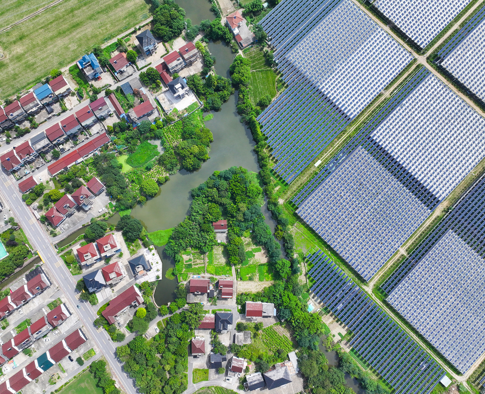 Farmland and photovoltaics form an ecological picture in the countryside of east China's Zhejiang Province, July 19, 2024. /CFP