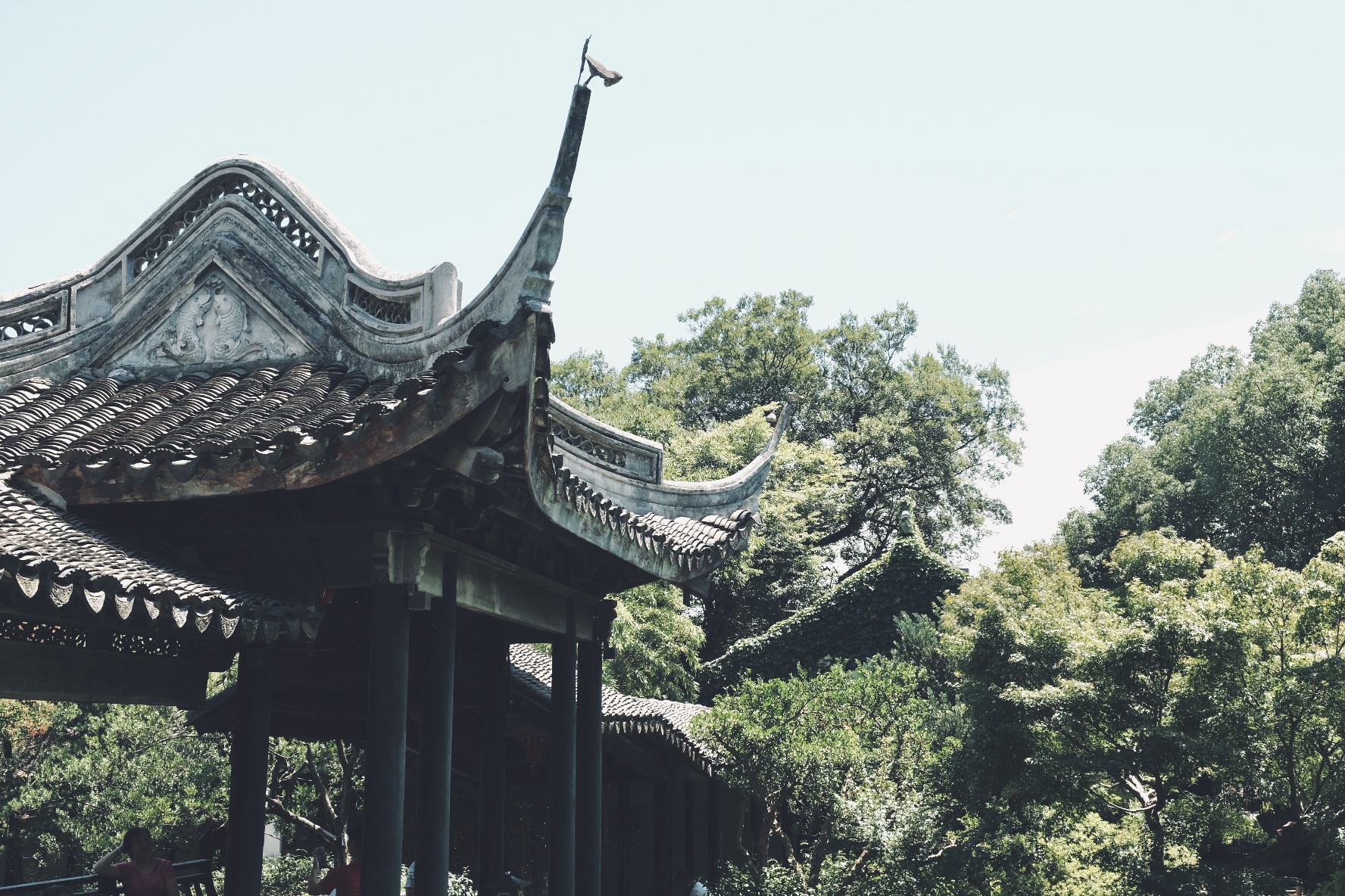 Jichang Garden in Wuxi: The hermit of Chinese gardens