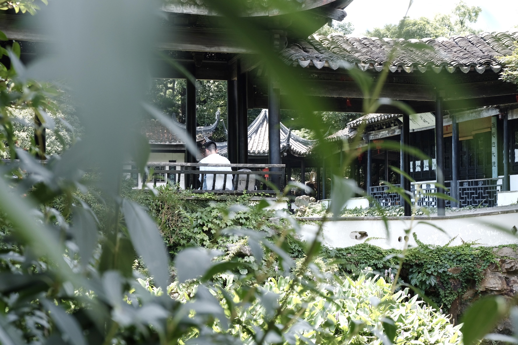 Jichang Garden in Wuxi: The hermit of Chinese gardens