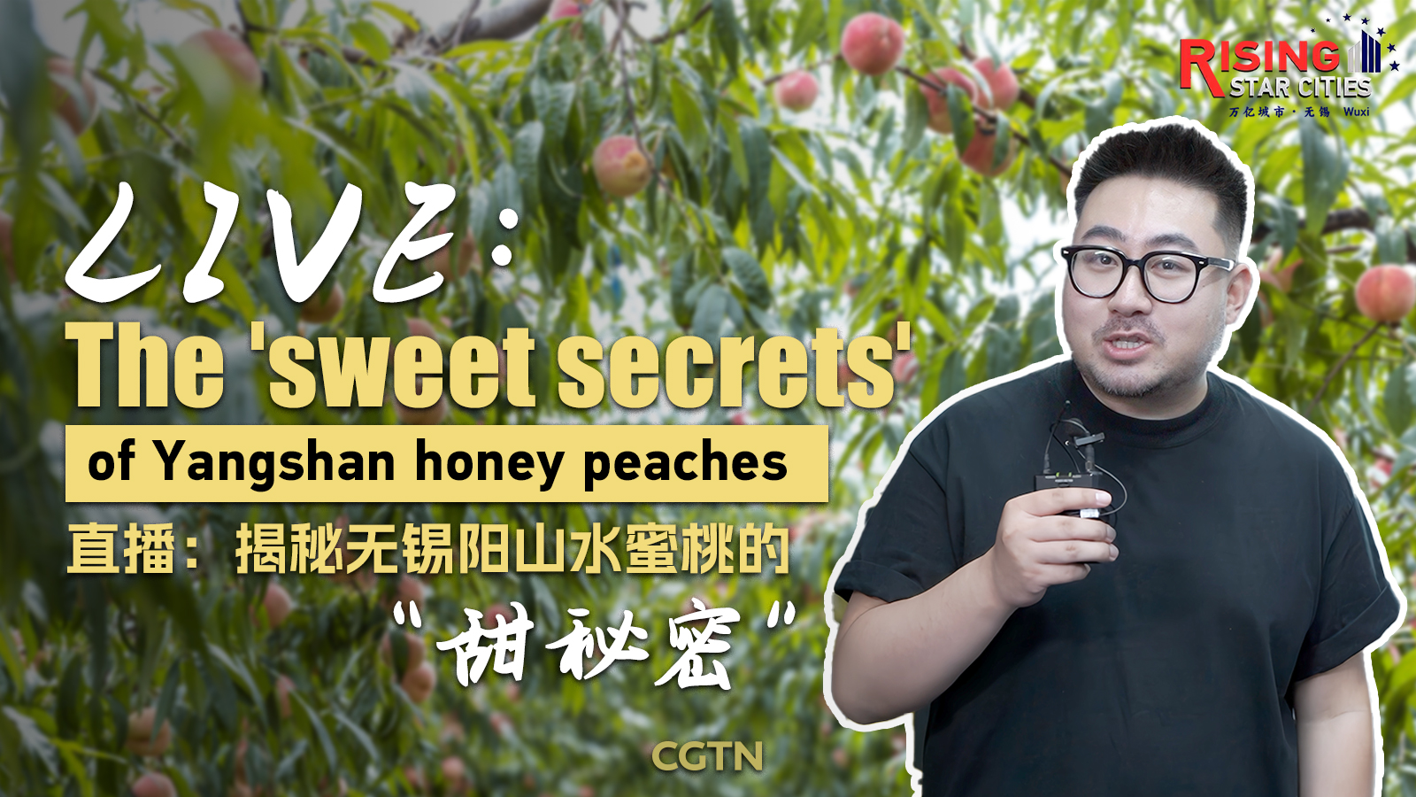 Live: The 'sweet secrets' of Yangshan honey peaches