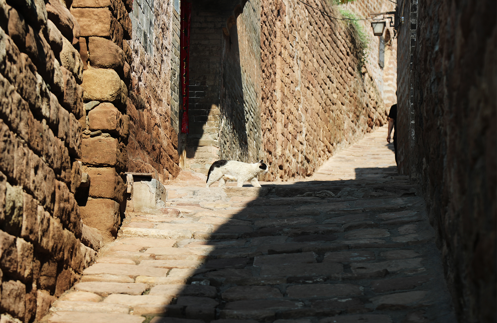 A cat walks across an ancient alley in Qikou Ancient Town in Lvliang, Shanxi Province. /CGTN